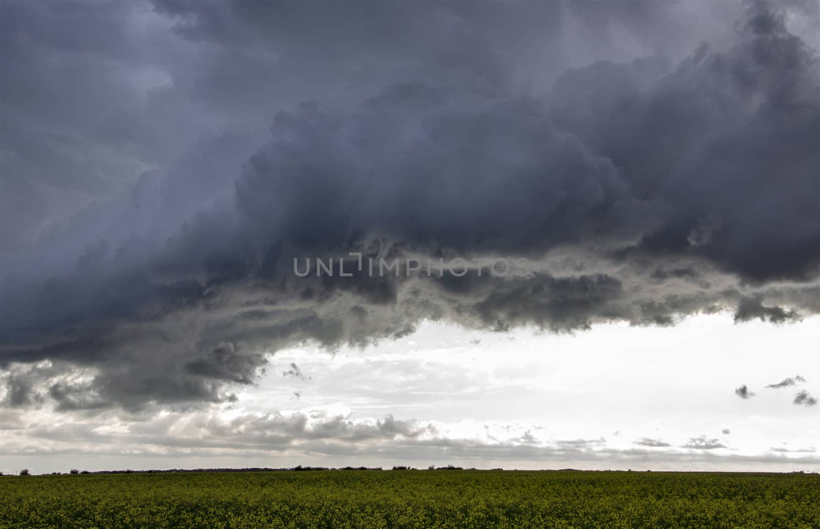 Prairie Storm Clouds Canada Saskatchewan Dramatic Summer