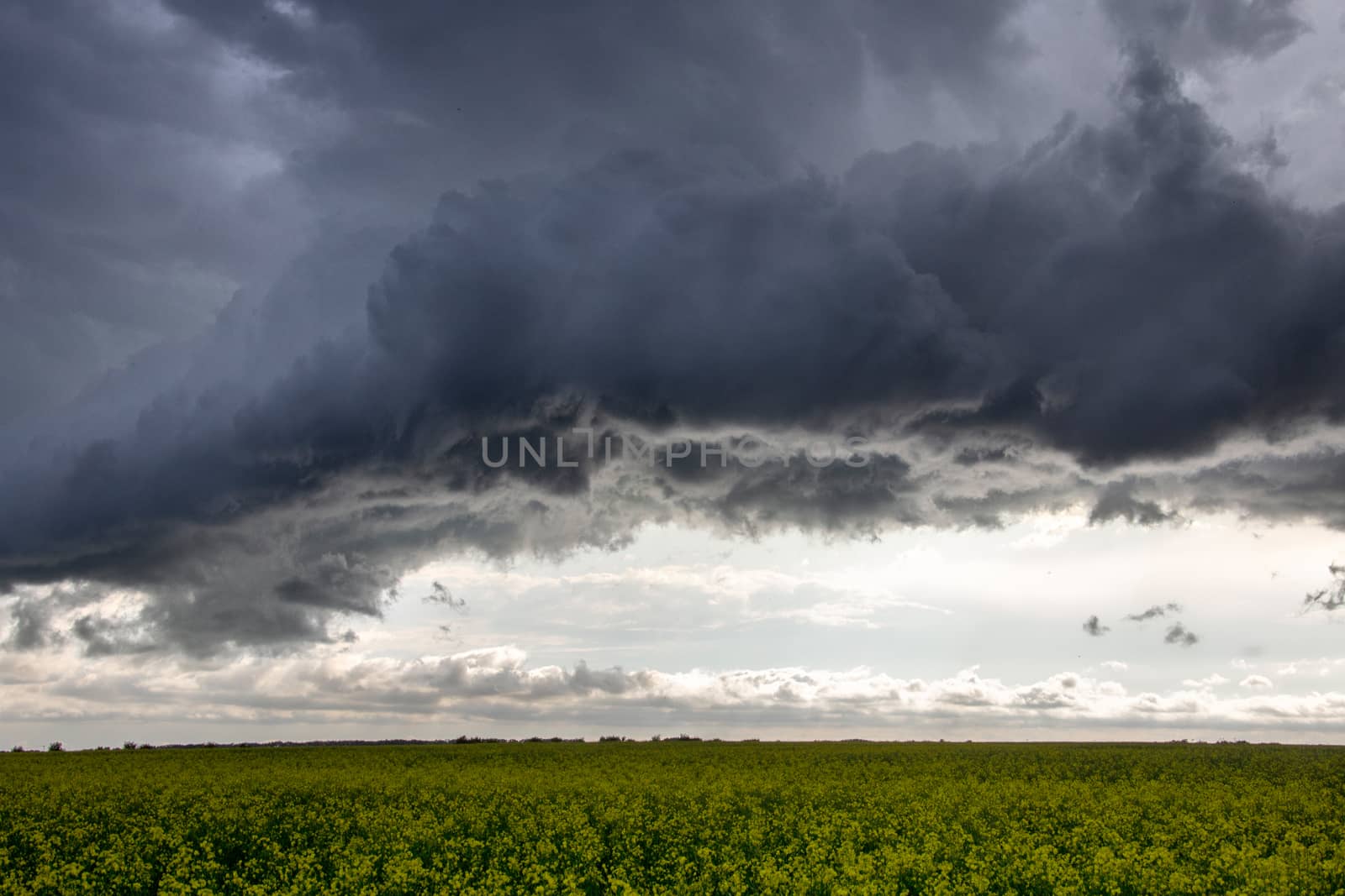 Prairie Storm Clouds Canada Saskatchewan Dramatic Summer
