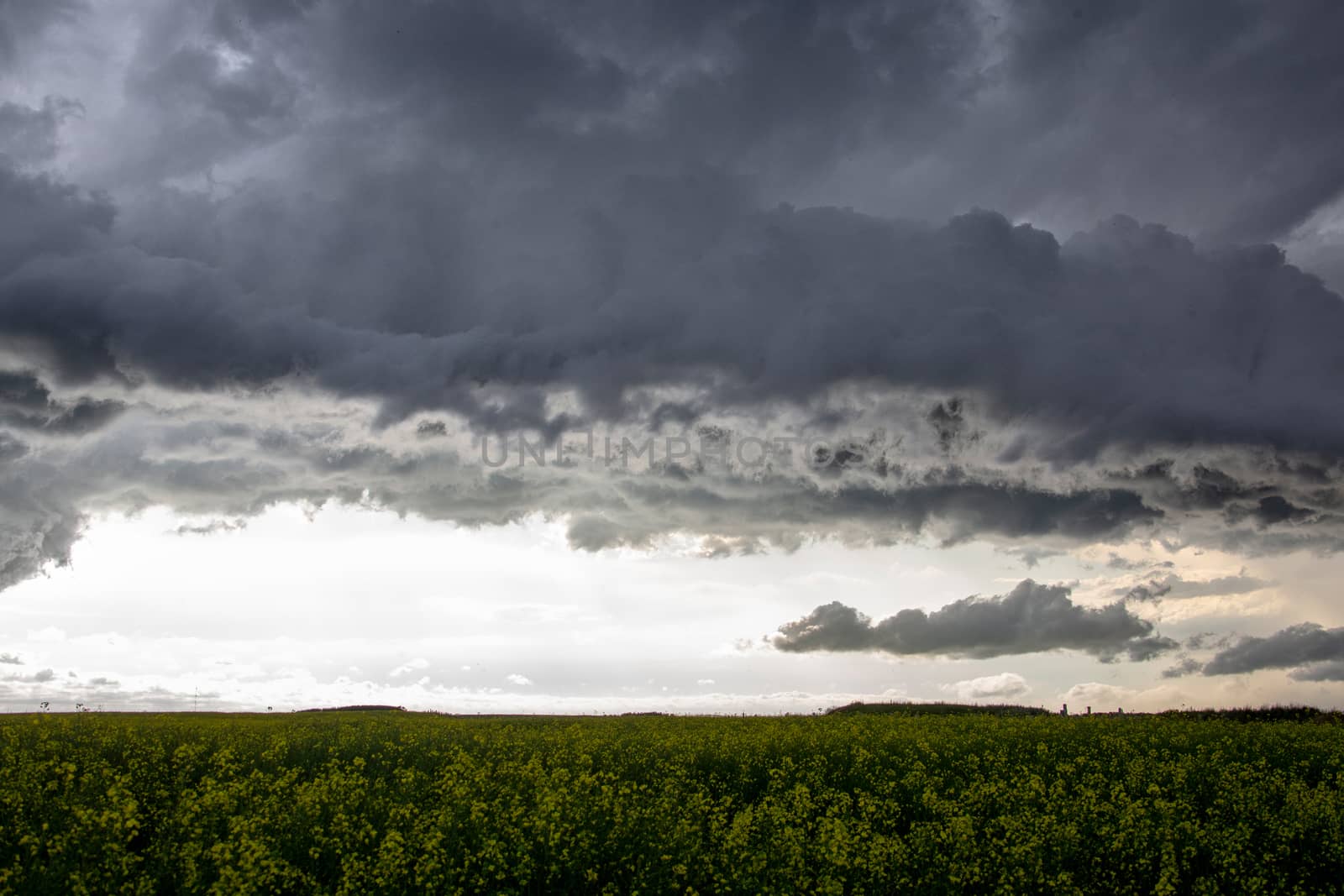 Prairie Storm Clouds Canada Saskatchewan Dramatic Summer