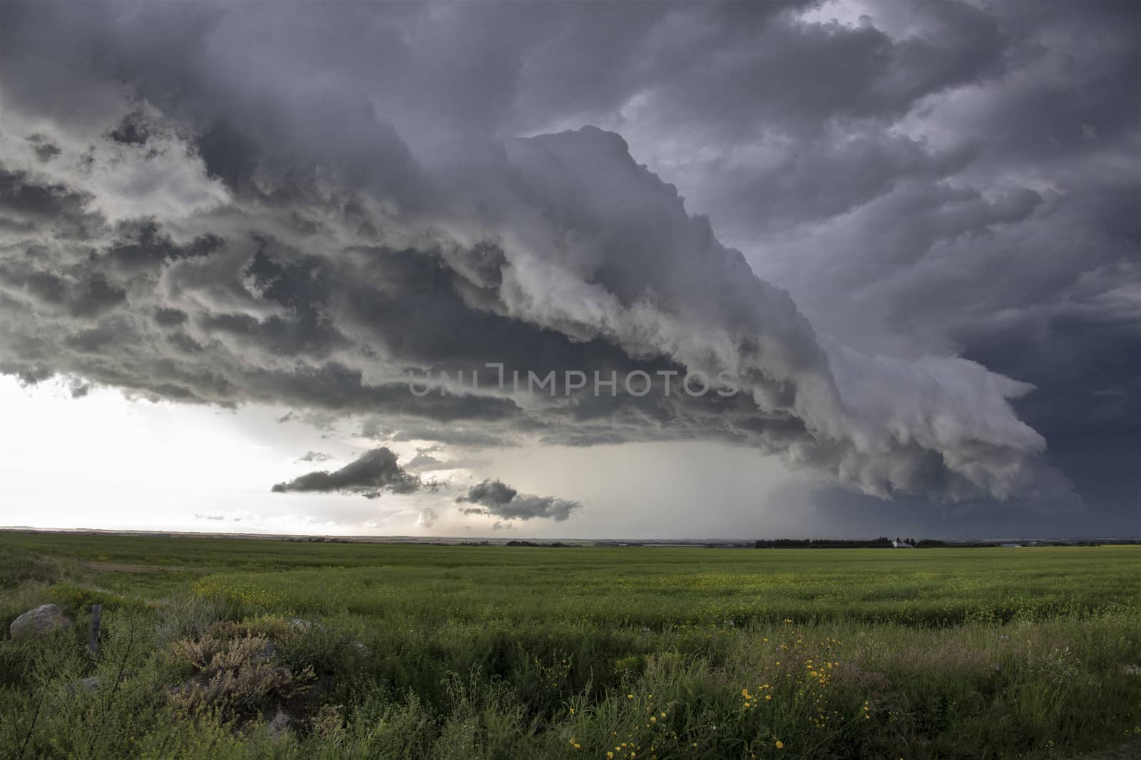 Prairie Storm Clouds Canada Saskatchewan Dramatic Summer