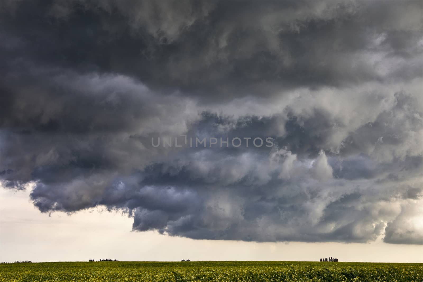 Prairie Storm Clouds Canada Saskatchewan Dramatic Summer