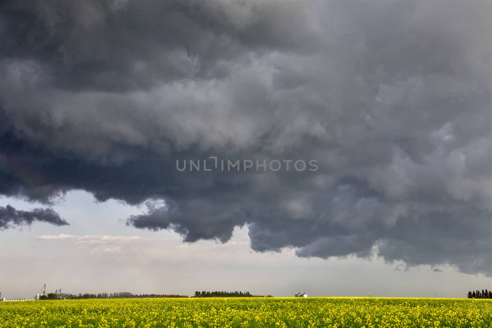 Prairie Storm Clouds Canada Saskatchewan Dramatic Summer
