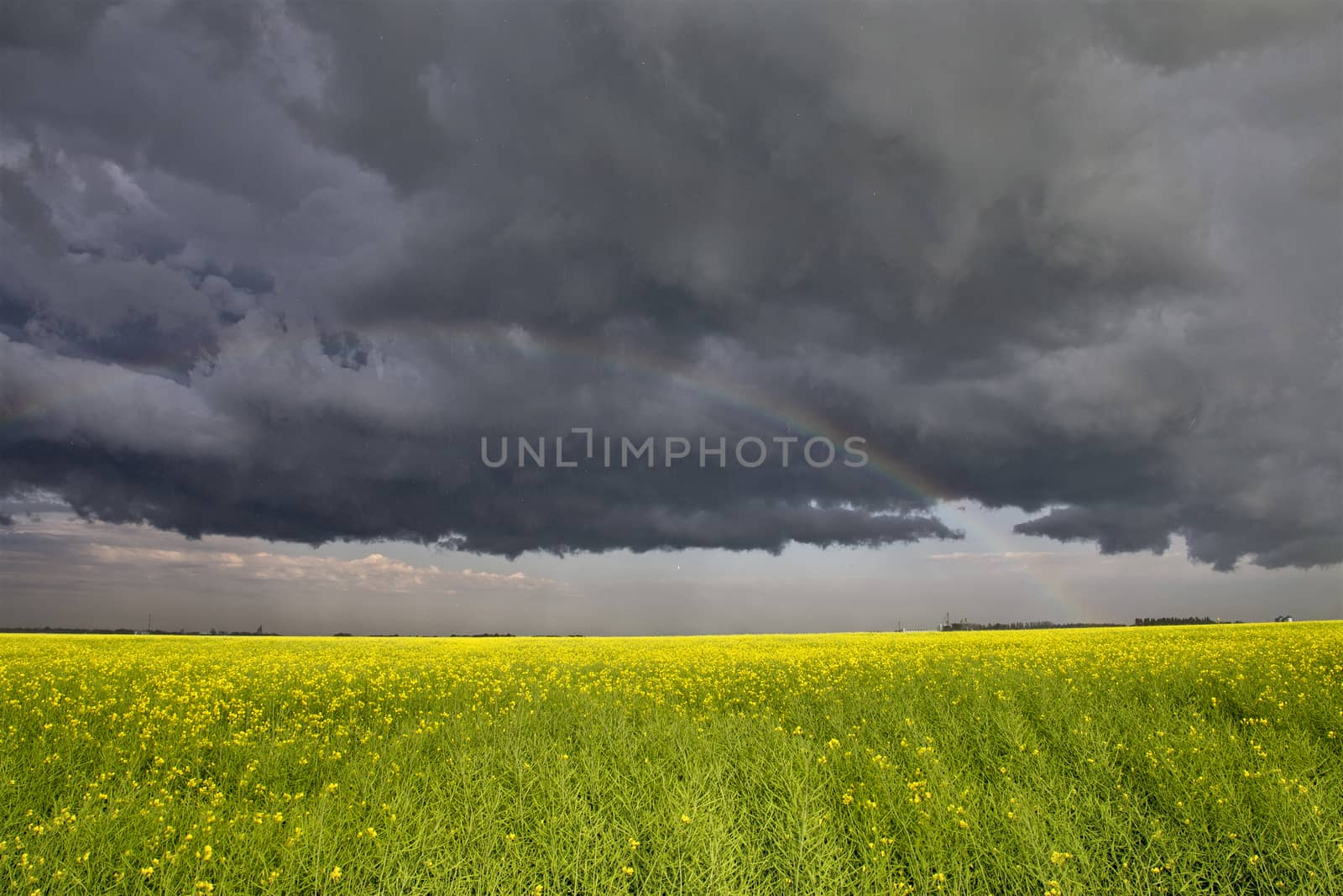 Prairie Storm Clouds Canada Saskatchewan Dramatic Summer