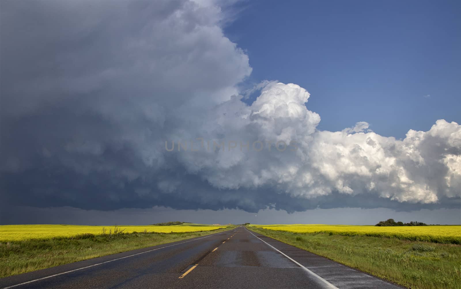 Prairie Storm Clouds Canada Saskatchewan Dramatic Summer