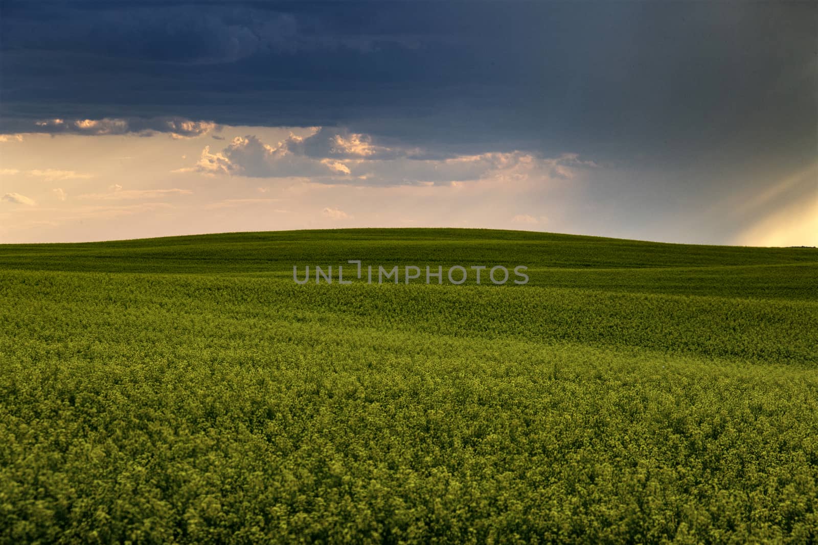 Prairie Storm Clouds Canada Saskatchewan Dramatic Summer