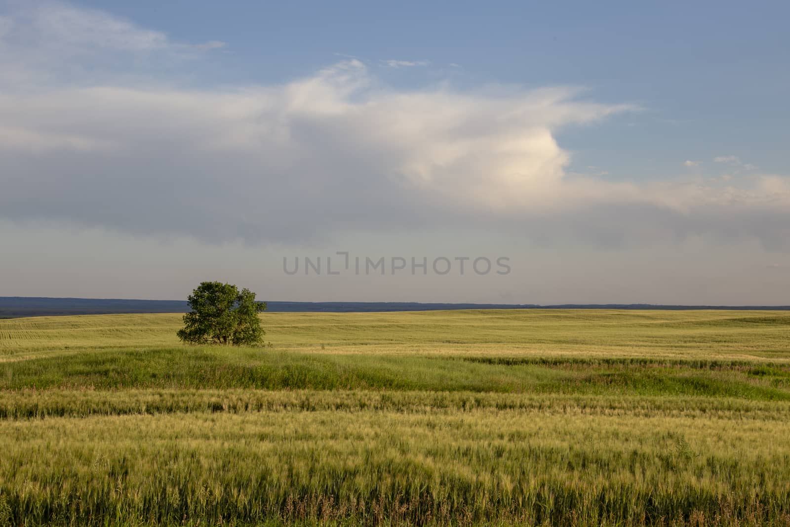 Prairie Storm Clouds Canada Saskatchewan Dramatic Summer