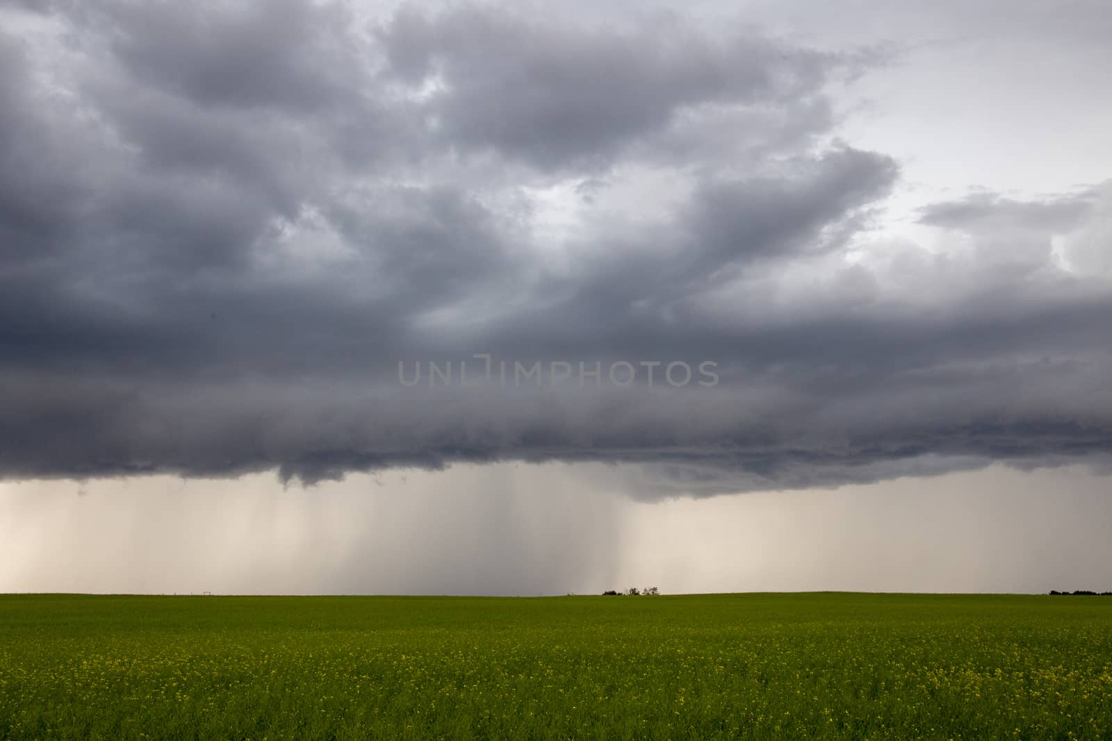 Prairie Storm Clouds Canada Saskatchewan Dramatic Summer