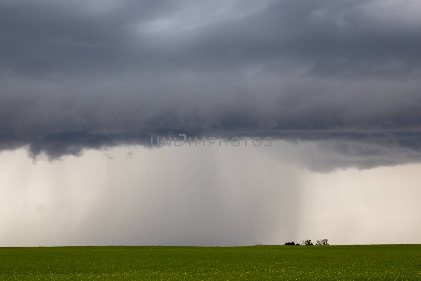 Prairie Storm Clouds Canada Saskatchewan Dramatic Summer