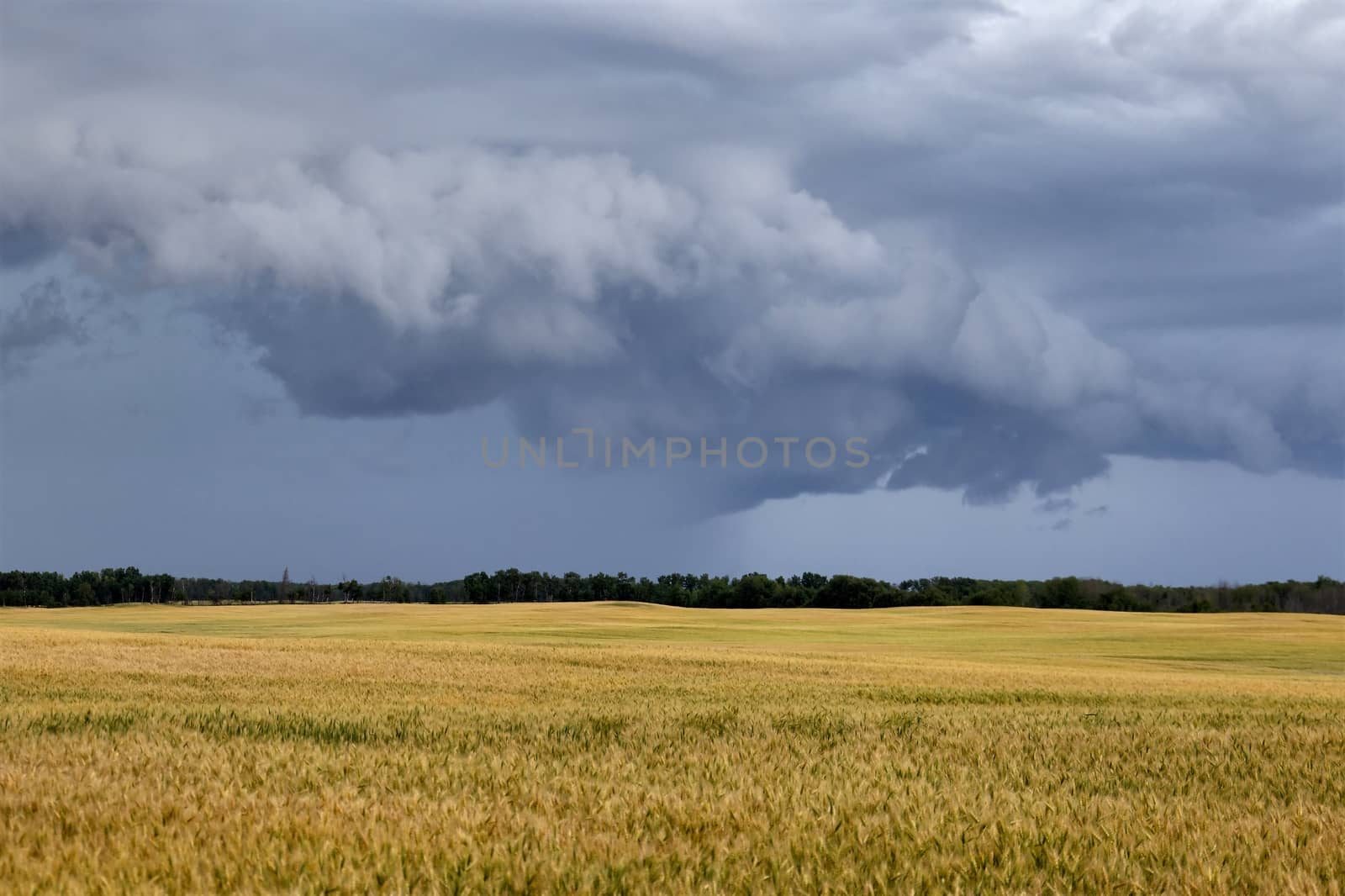 Prairie Storm Clouds Canada Saskatchewan Dramatic Summer