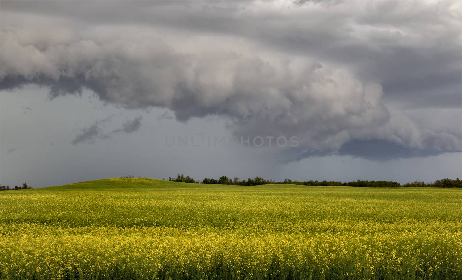Prairie Storm Clouds Canada Saskatchewan Dramatic Summer