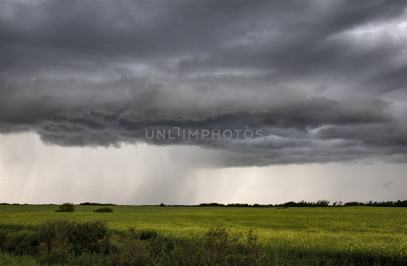 Prairie Storm Clouds Canada Saskatchewan Dramatic Summer