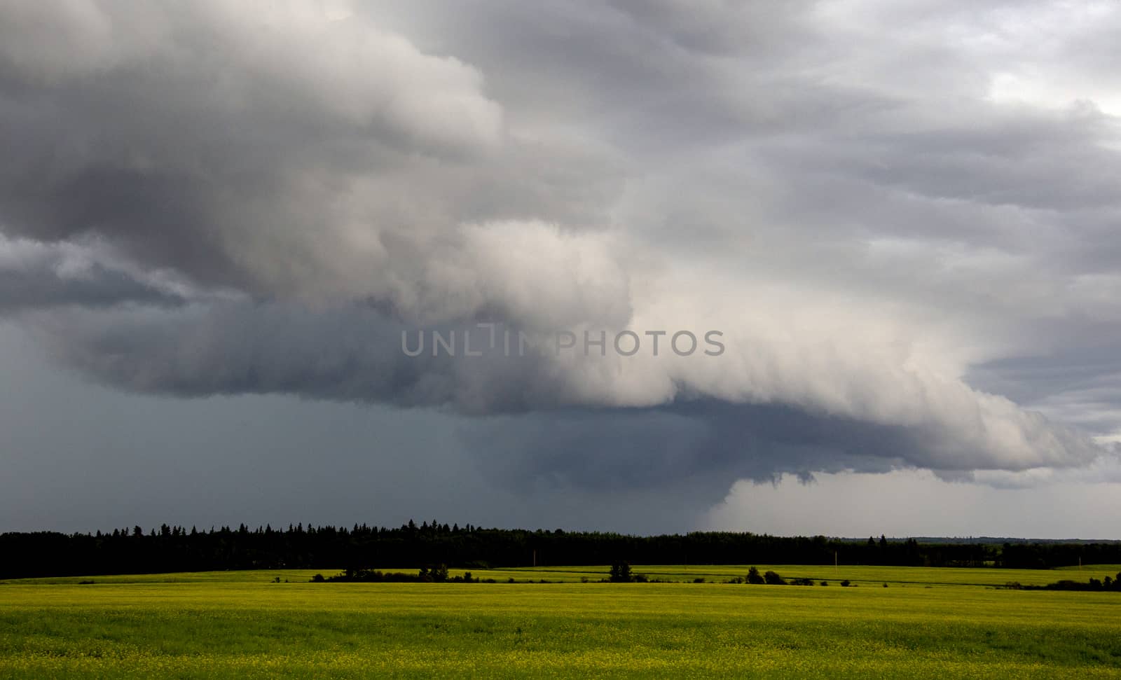 Prairie Storm Clouds Canada Saskatchewan Dramatic Summer