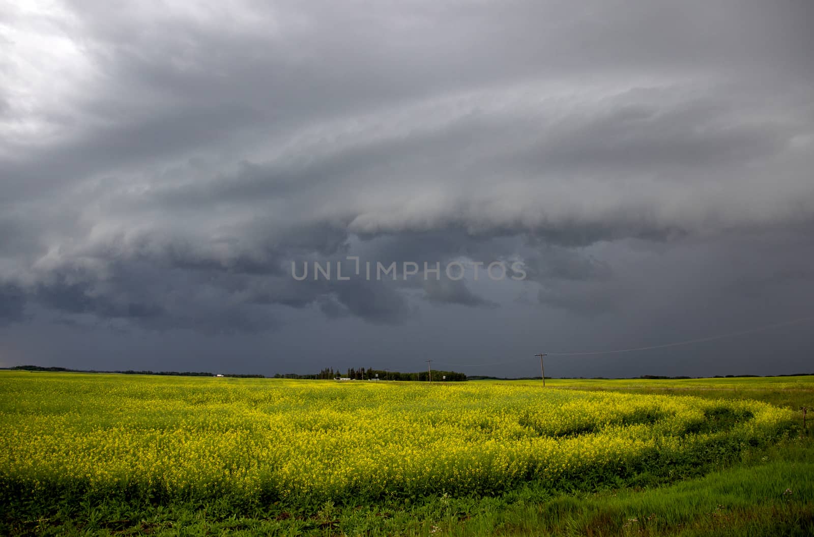 Prairie Storm Clouds Canada Saskatchewan Dramatic Summer