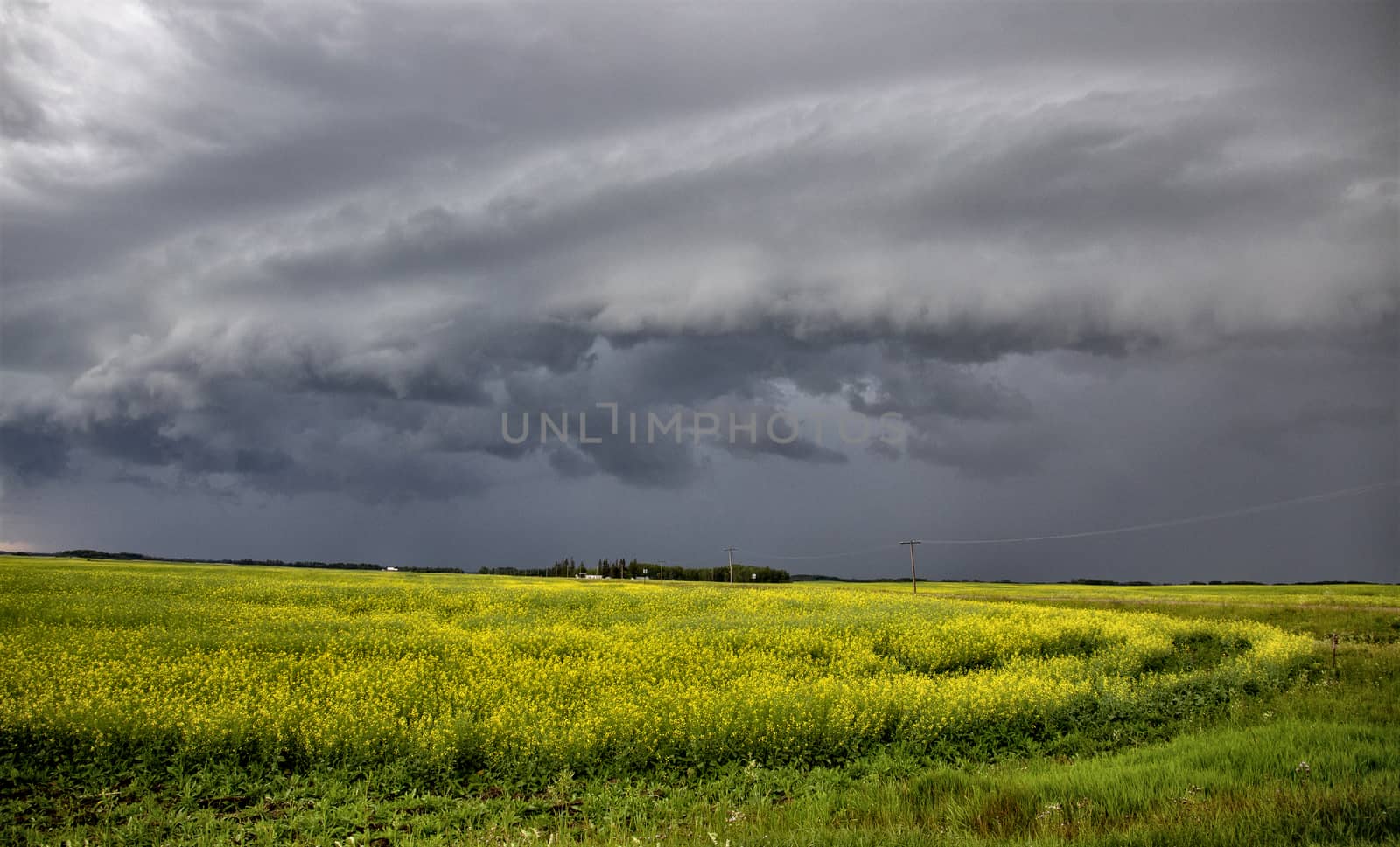 Prairie Storm Clouds Canada Saskatchewan Dramatic Summer