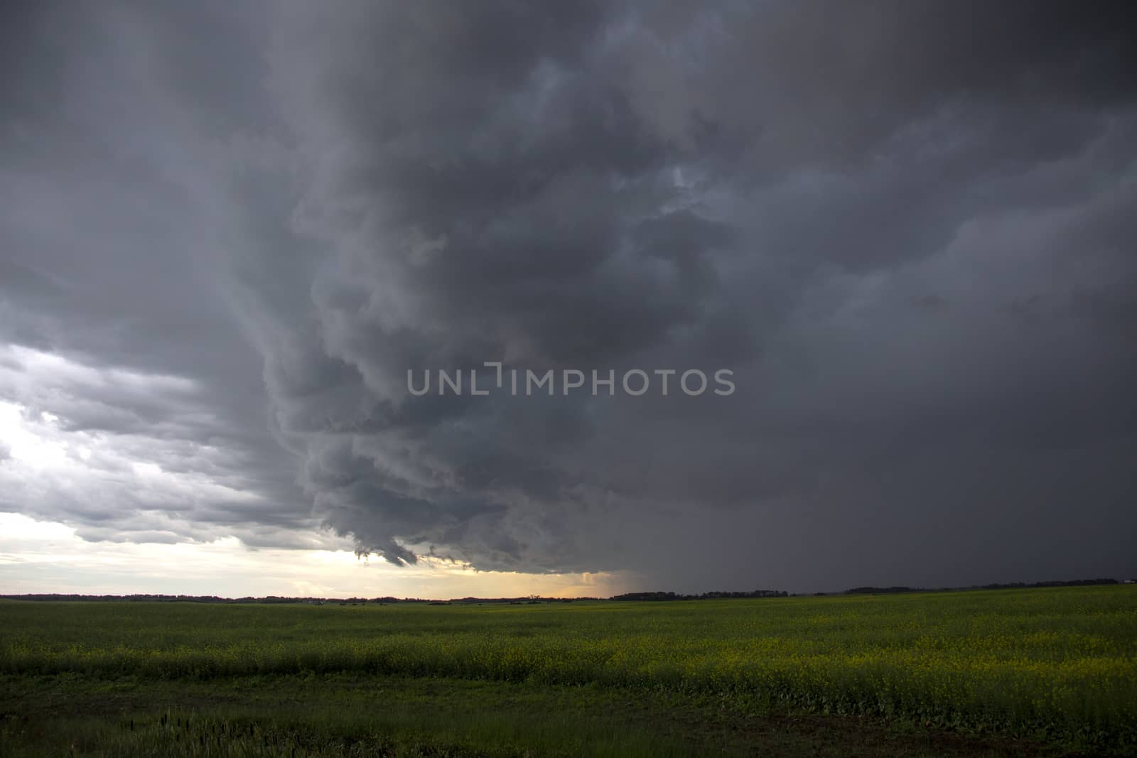Prairie Storm Clouds Canada Saskatchewan Dramatic Summer