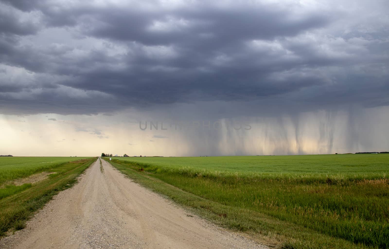 Prairie Storm Clouds Canada Saskatchewan Dramatic Summer
