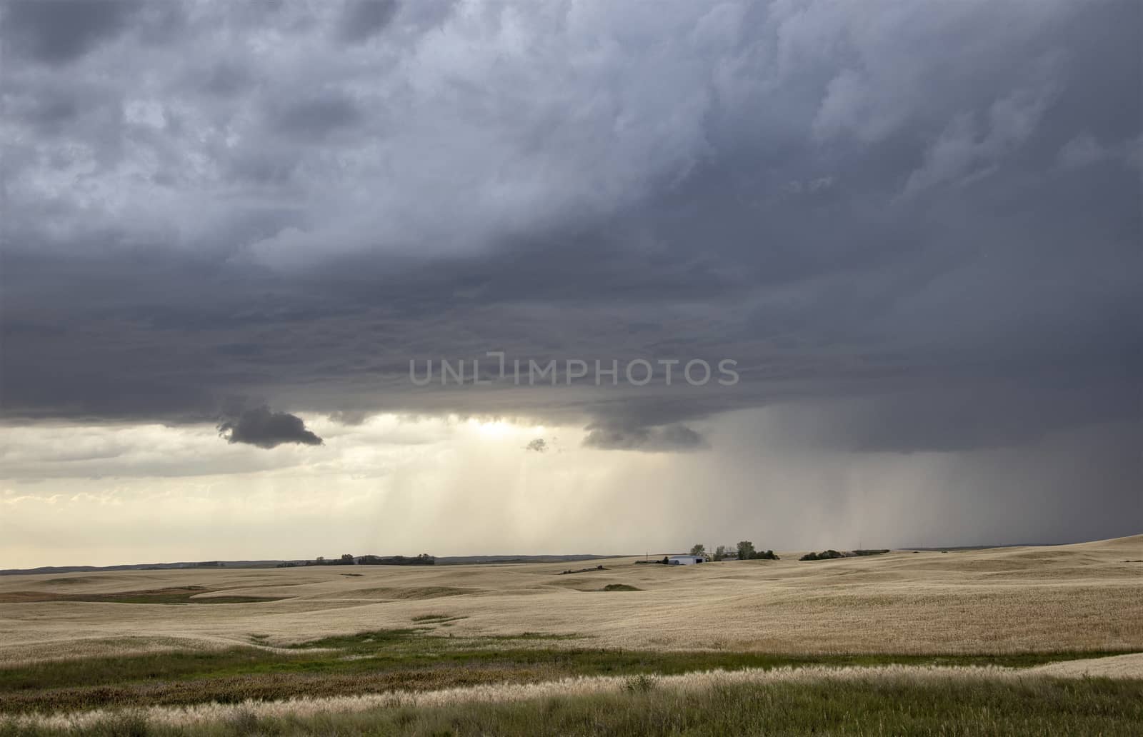 Prairie Storm Clouds Canada Saskatchewan Dramatic Summer