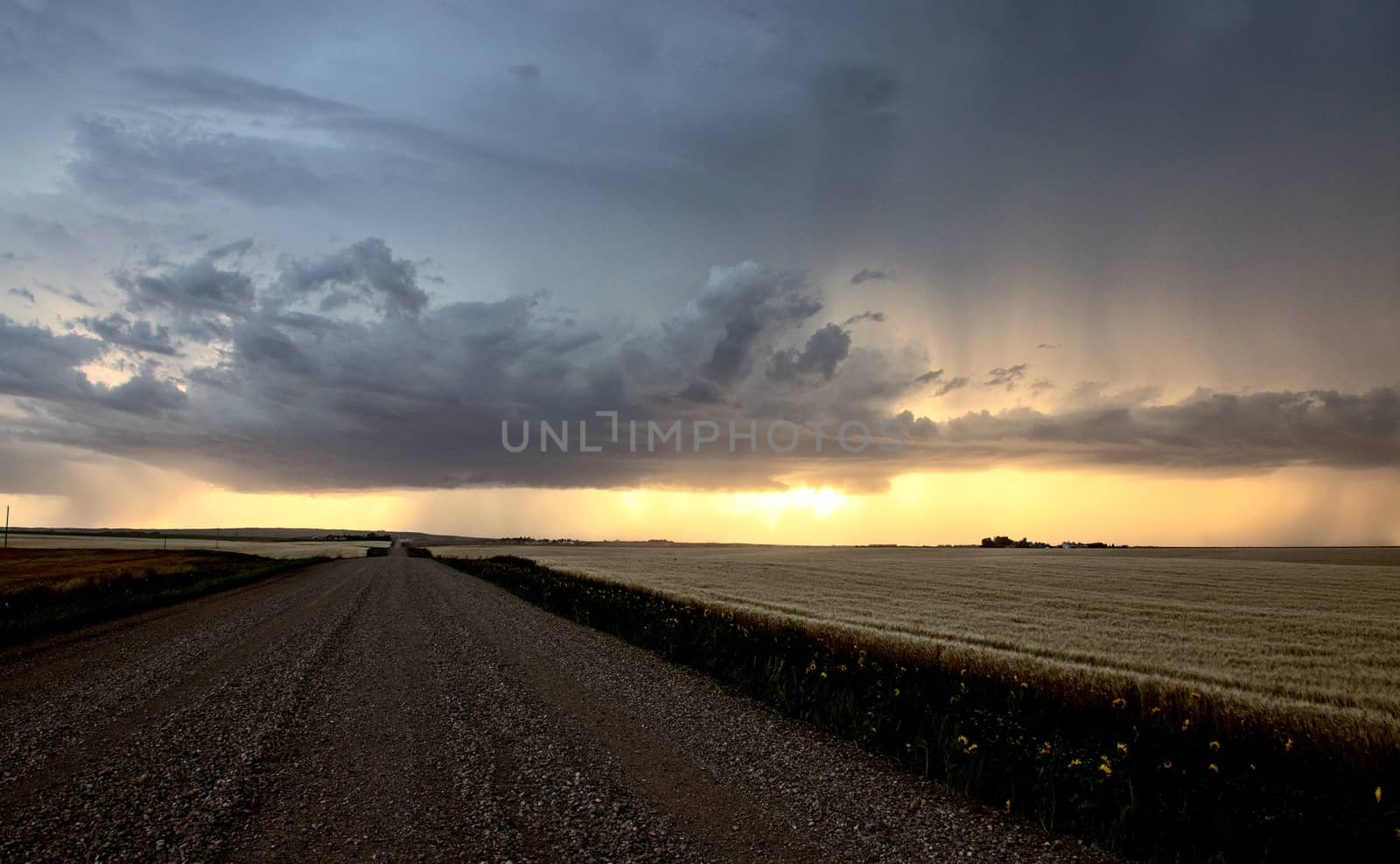 Prairie Storm Clouds Canada Saskatchewan Dramatic Summer