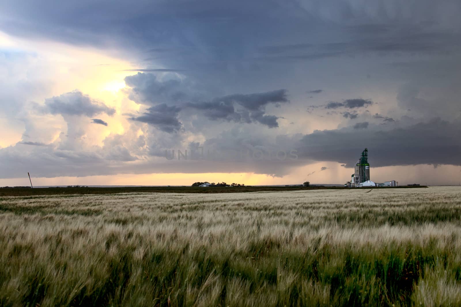 Prairie Storm Clouds Canada Saskatchewan Dramatic Summer