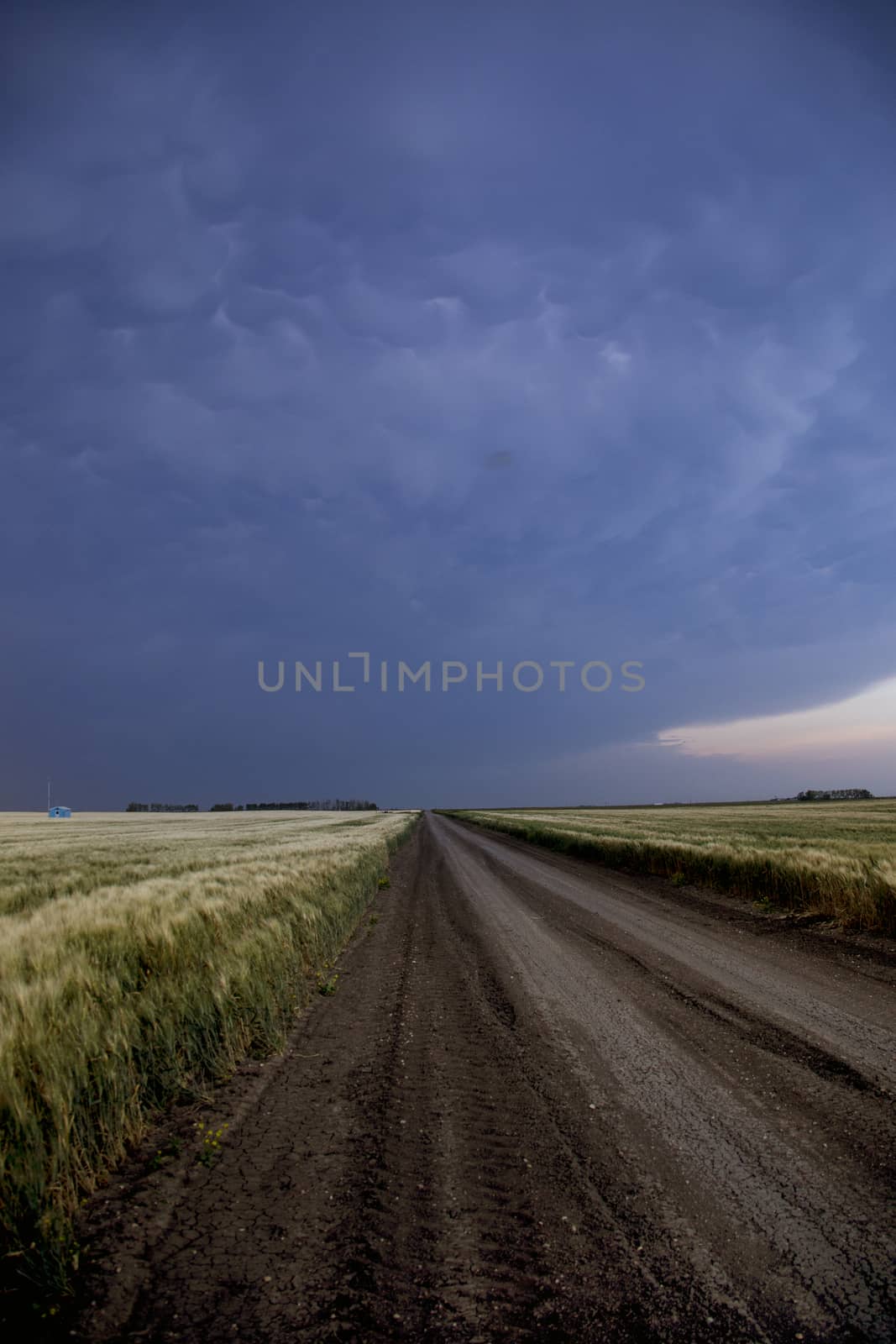 Prairie Storm Clouds Canada Saskatchewan Dramatic Summer