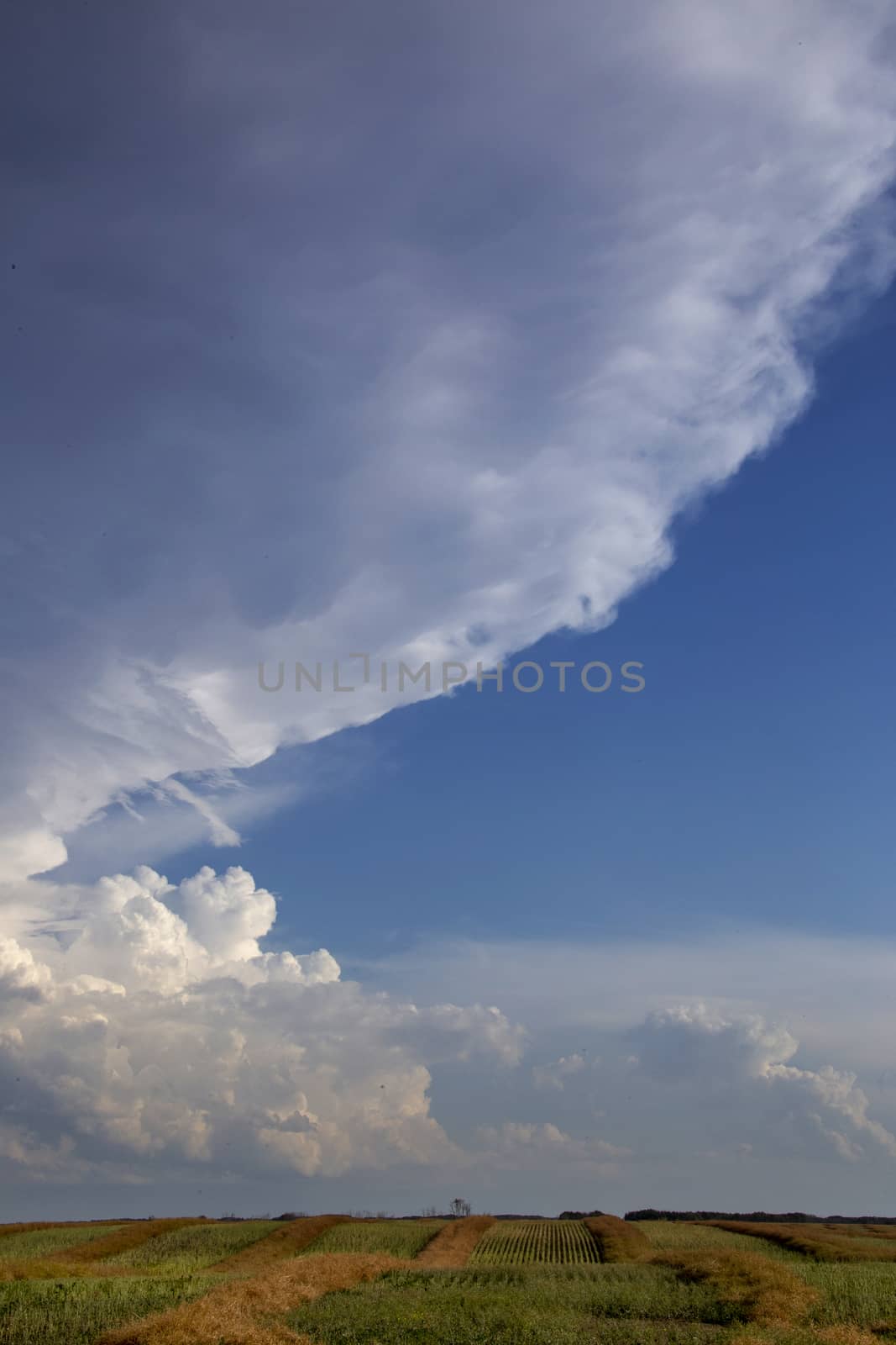 Prairie Storm Clouds Canada Saskatchewan Dramatic Summer