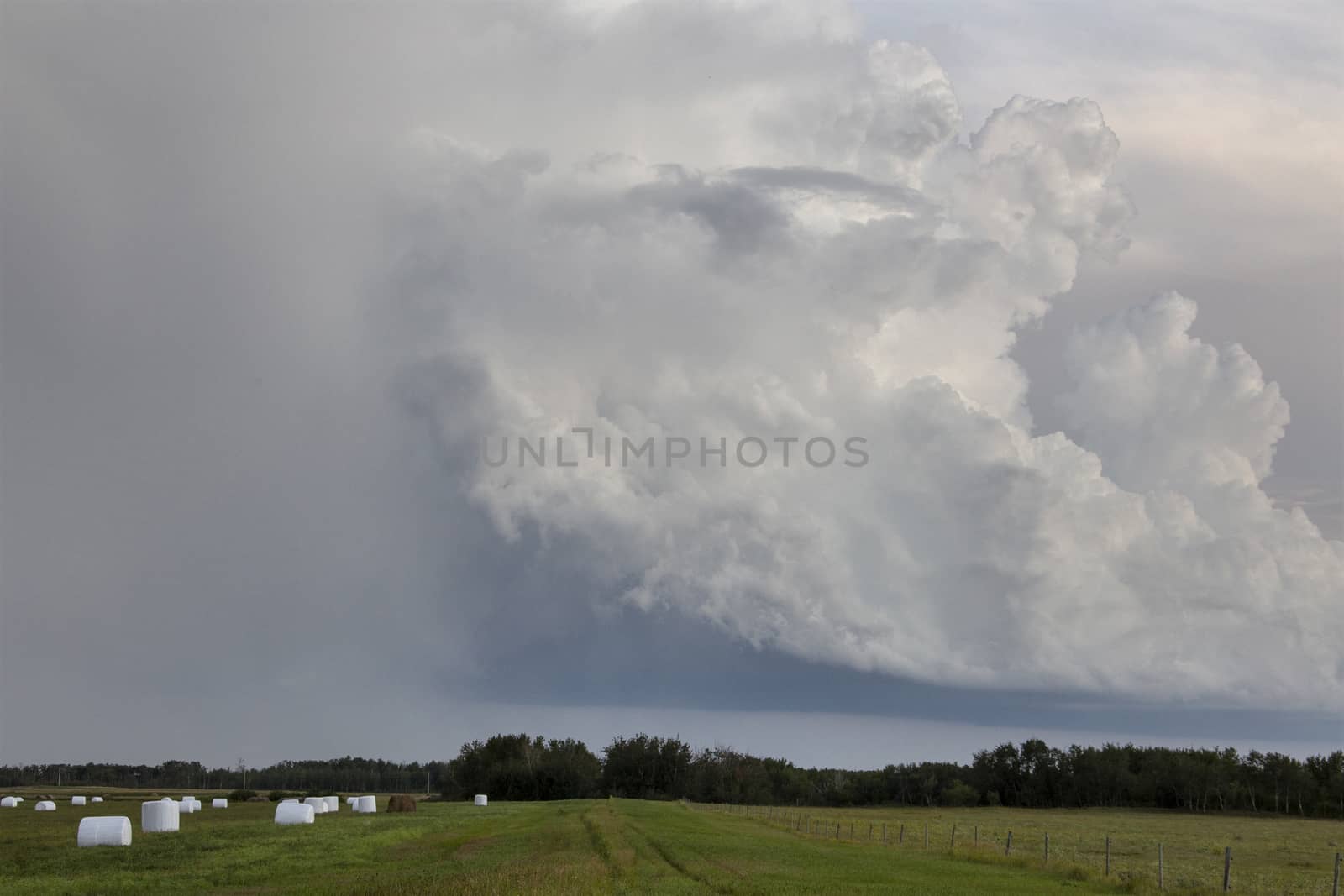 Prairie Storm Clouds Canada Saskatchewan Dramatic Summer