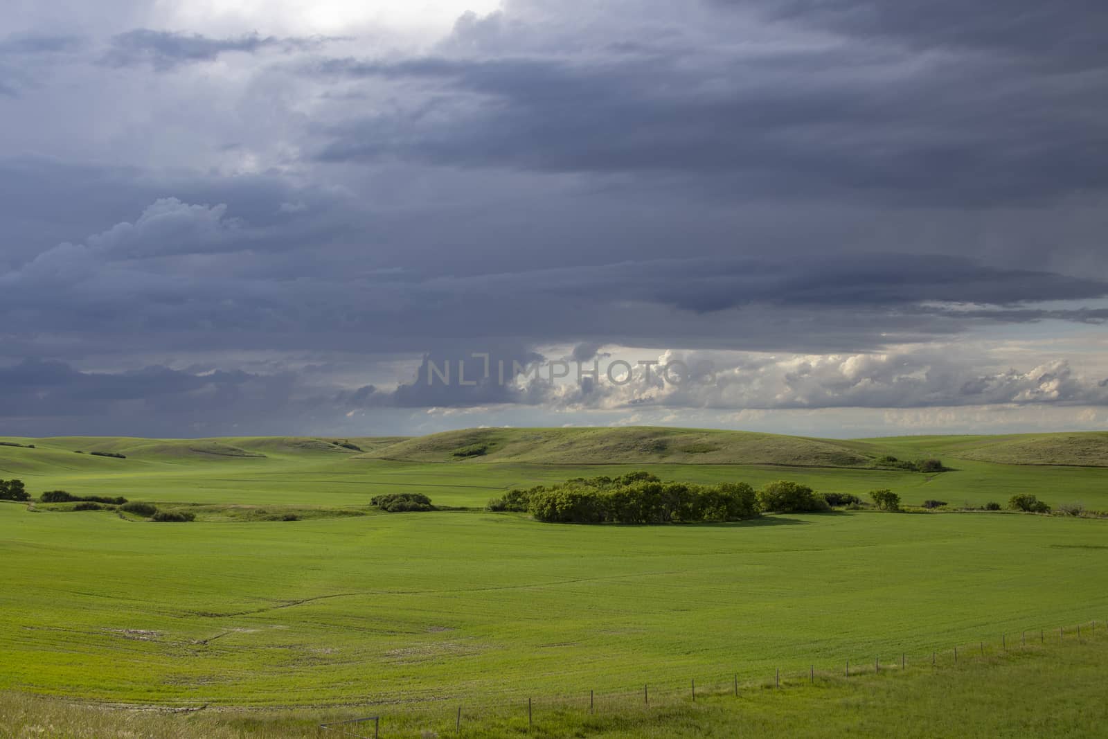 Prairie Storm Clouds Canada Saskatchewan Dramatic Summer