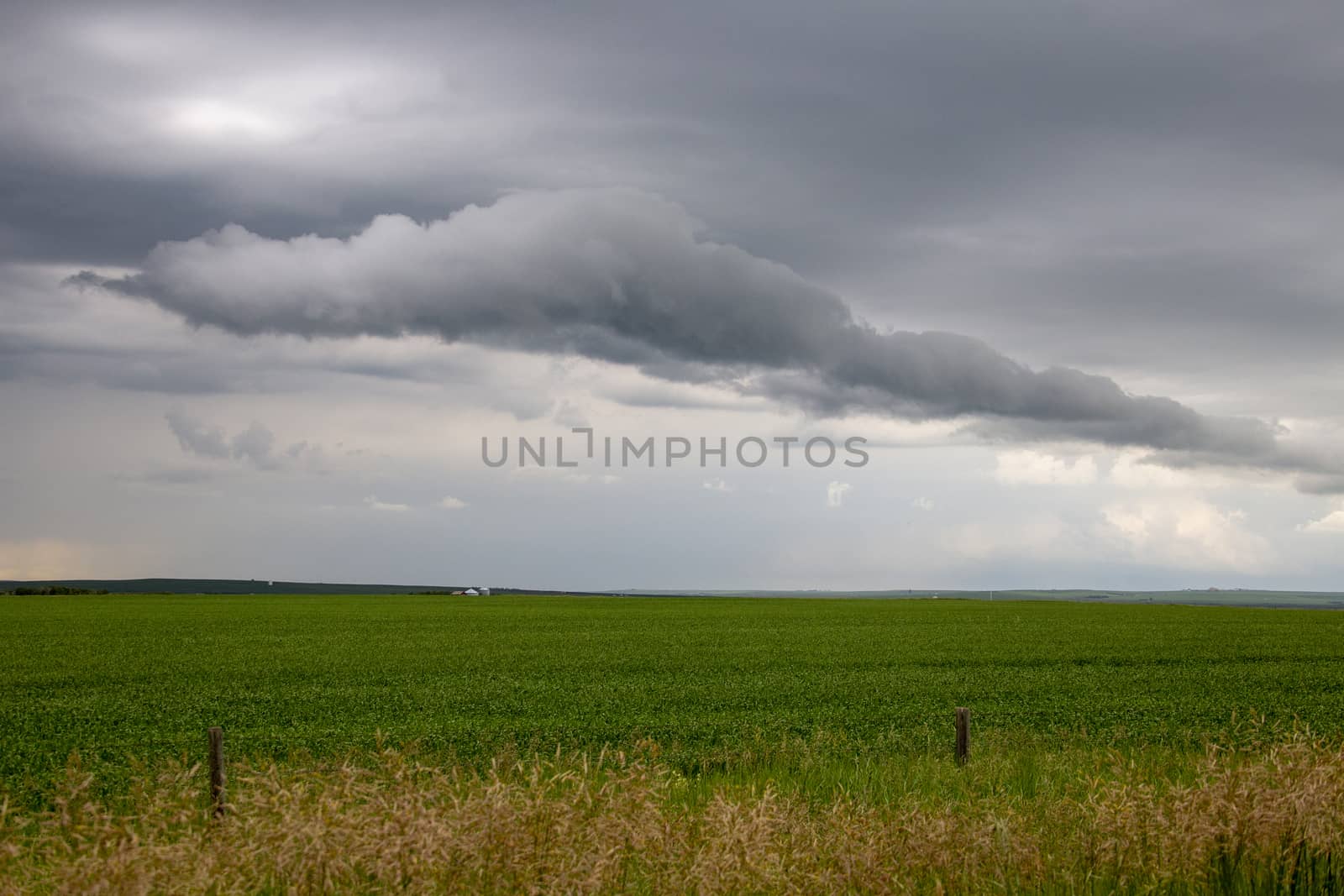 Prairie Storm Clouds Canada Saskatchewan Dramatic Summer