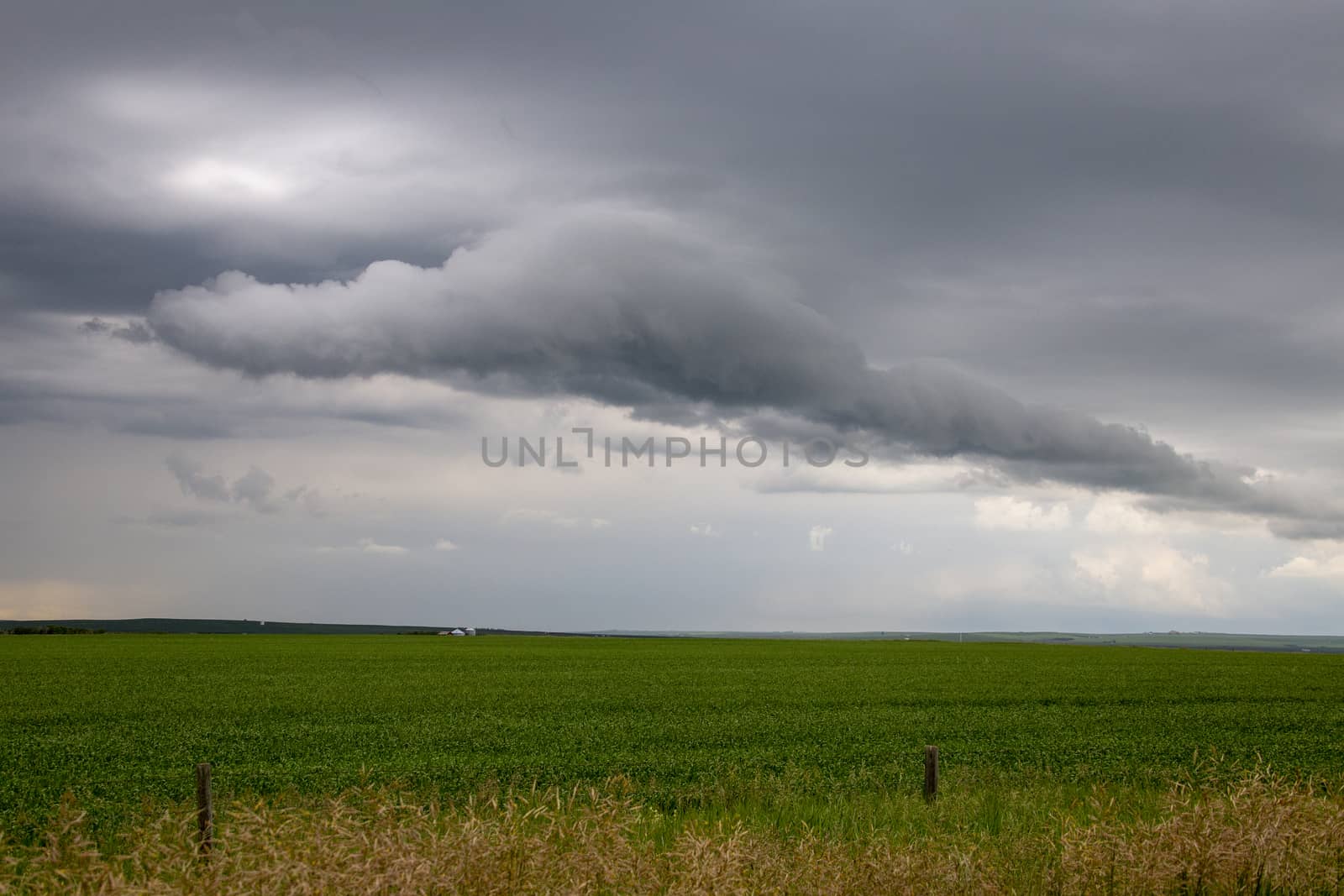 Prairie Storm Clouds Canada Saskatchewan Dramatic Summer
