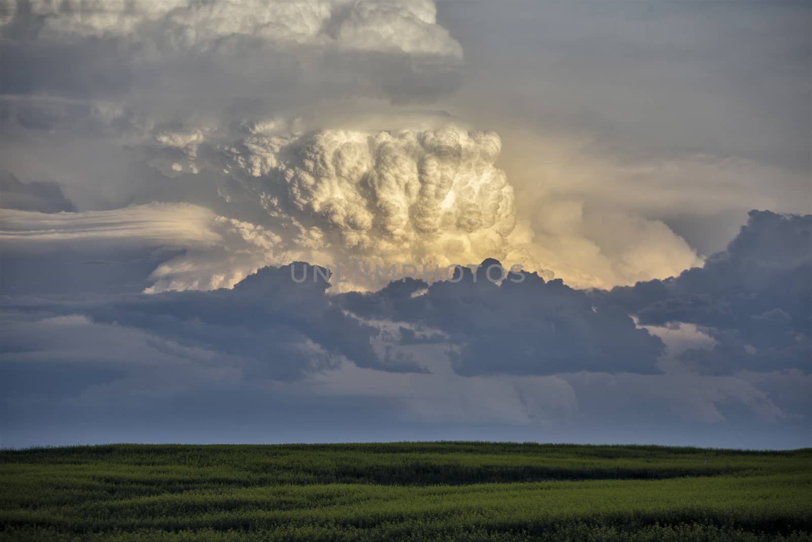 Prairie Storm Clouds Canada Saskatchewan Dramatic Summer