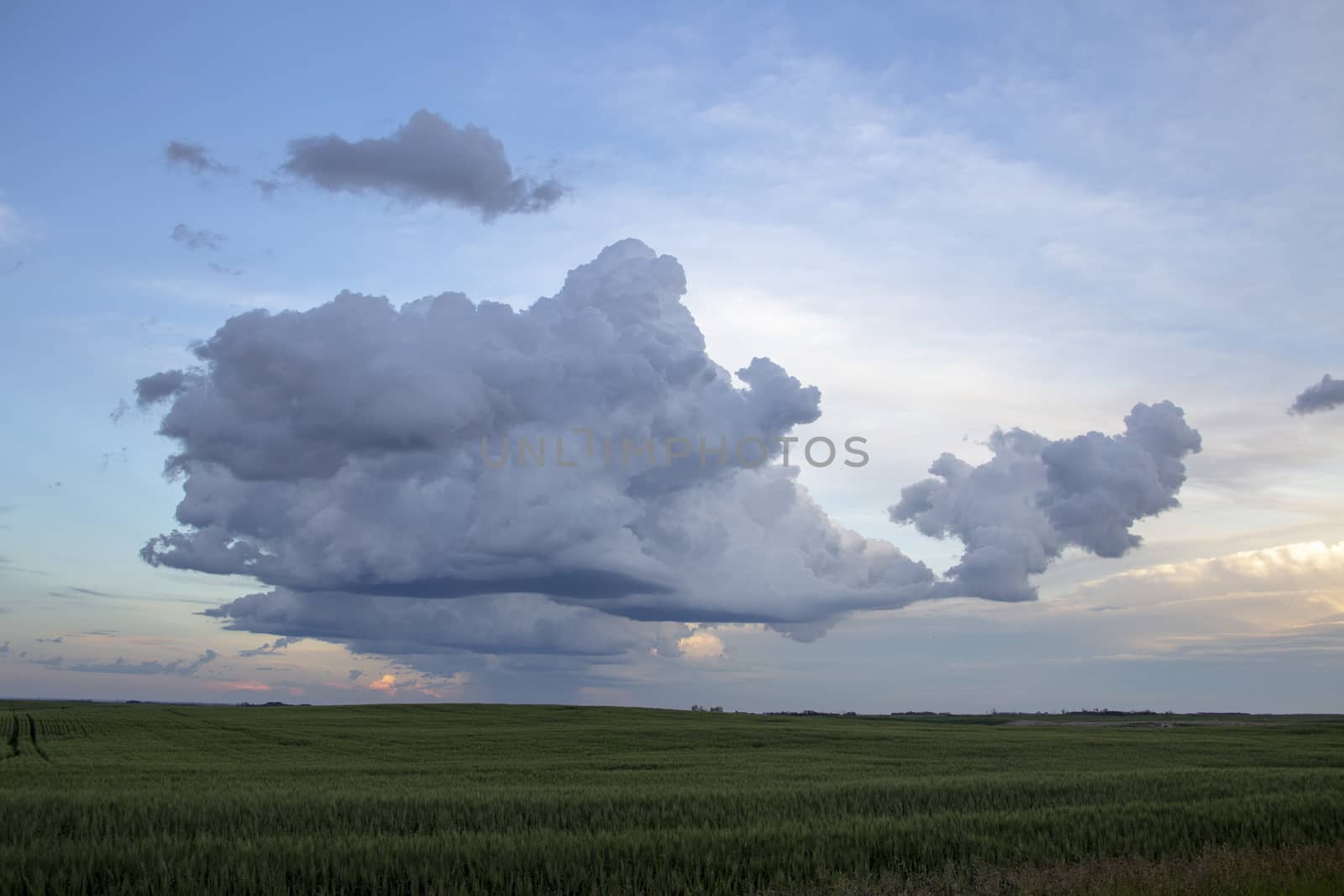 Prairie Storm Clouds Canada Saskatchewan Dramatic Summer