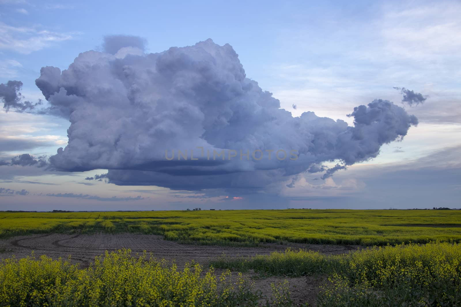 Prairie Storm Clouds Canada Saskatchewan Dramatic Summer