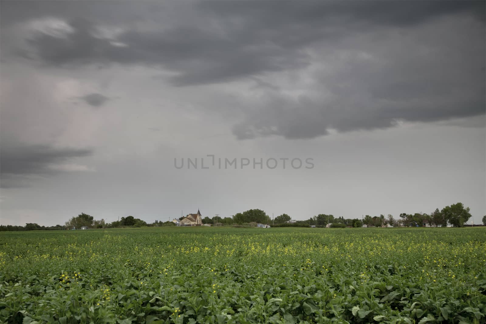 Prairie Storm Clouds Canada Saskatchewan Dramatic Summer