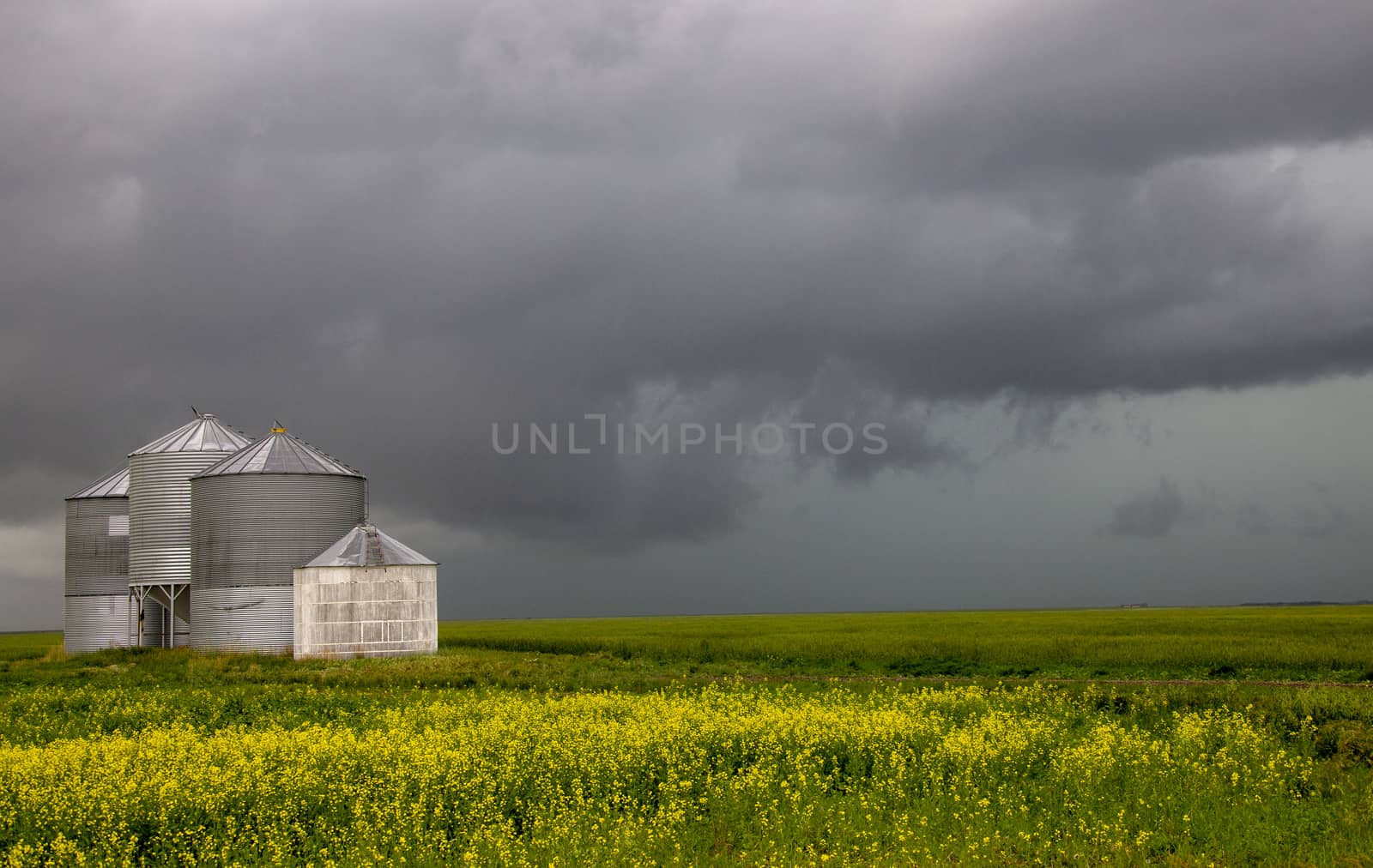 Prairie Storm Clouds Canada Saskatchewan Dramatic Summer
