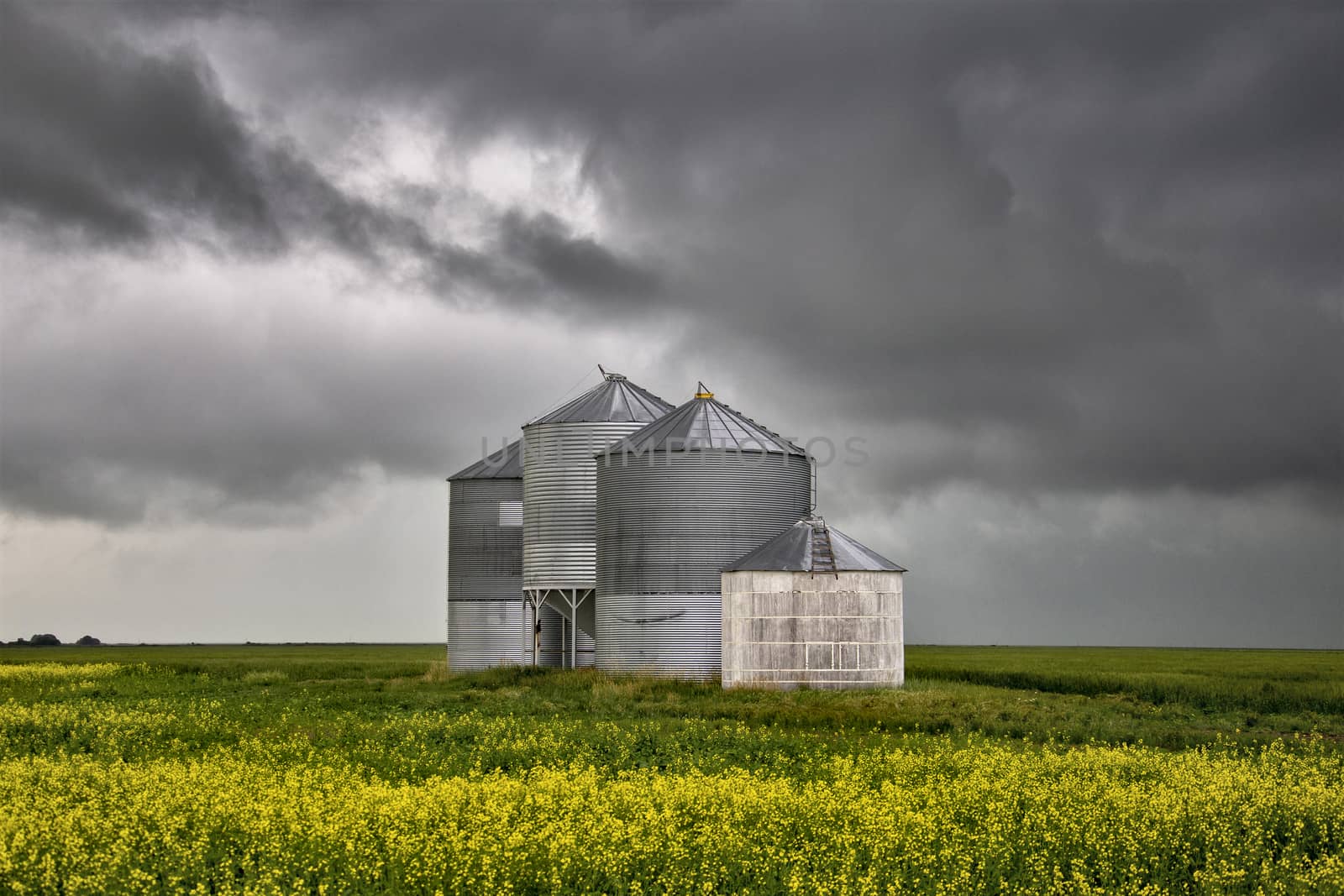 Prairie Storm Clouds Canada Saskatchewan Dramatic Summer