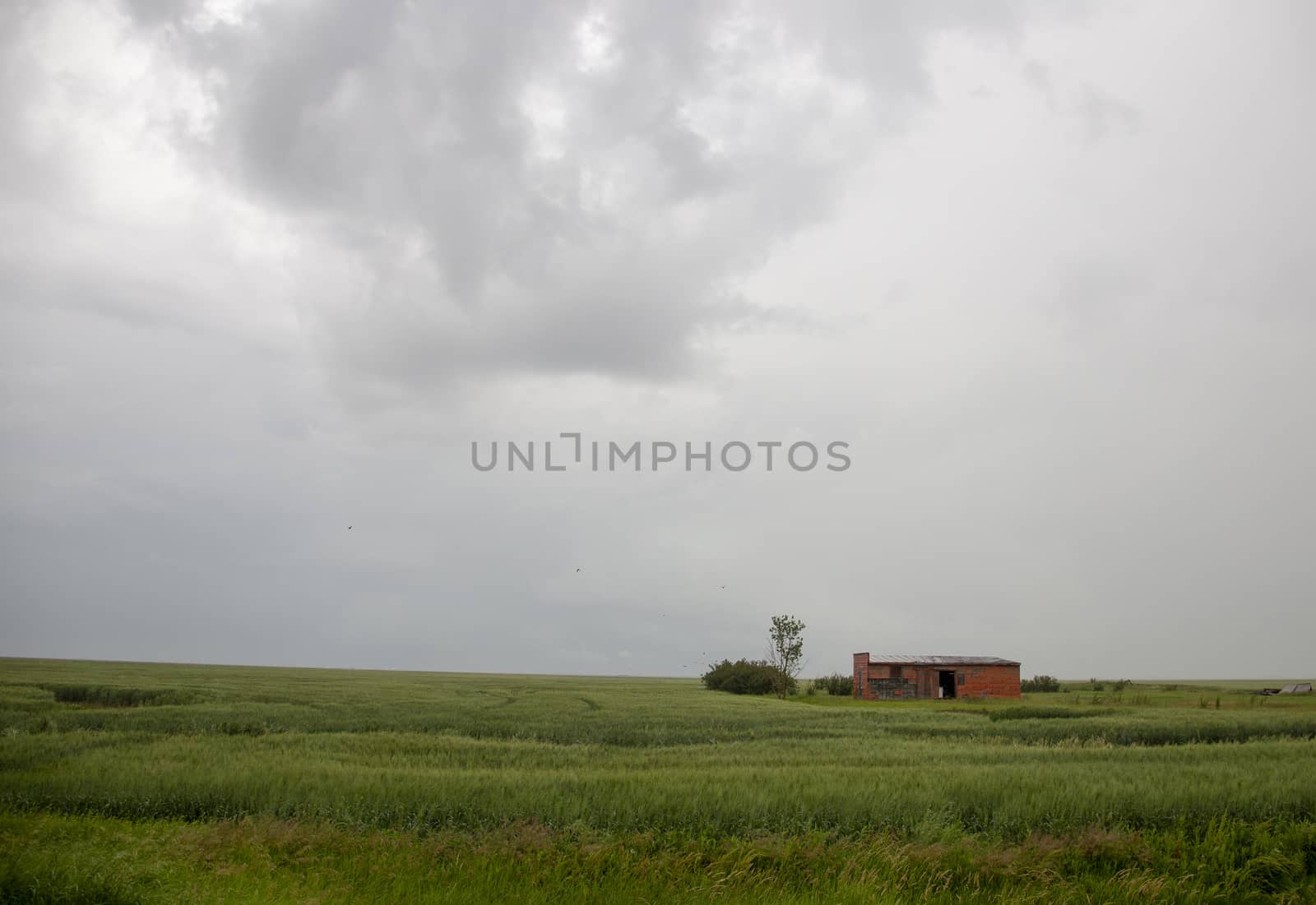 Prairie Storm Clouds Canada Saskatchewan Dramatic Summer