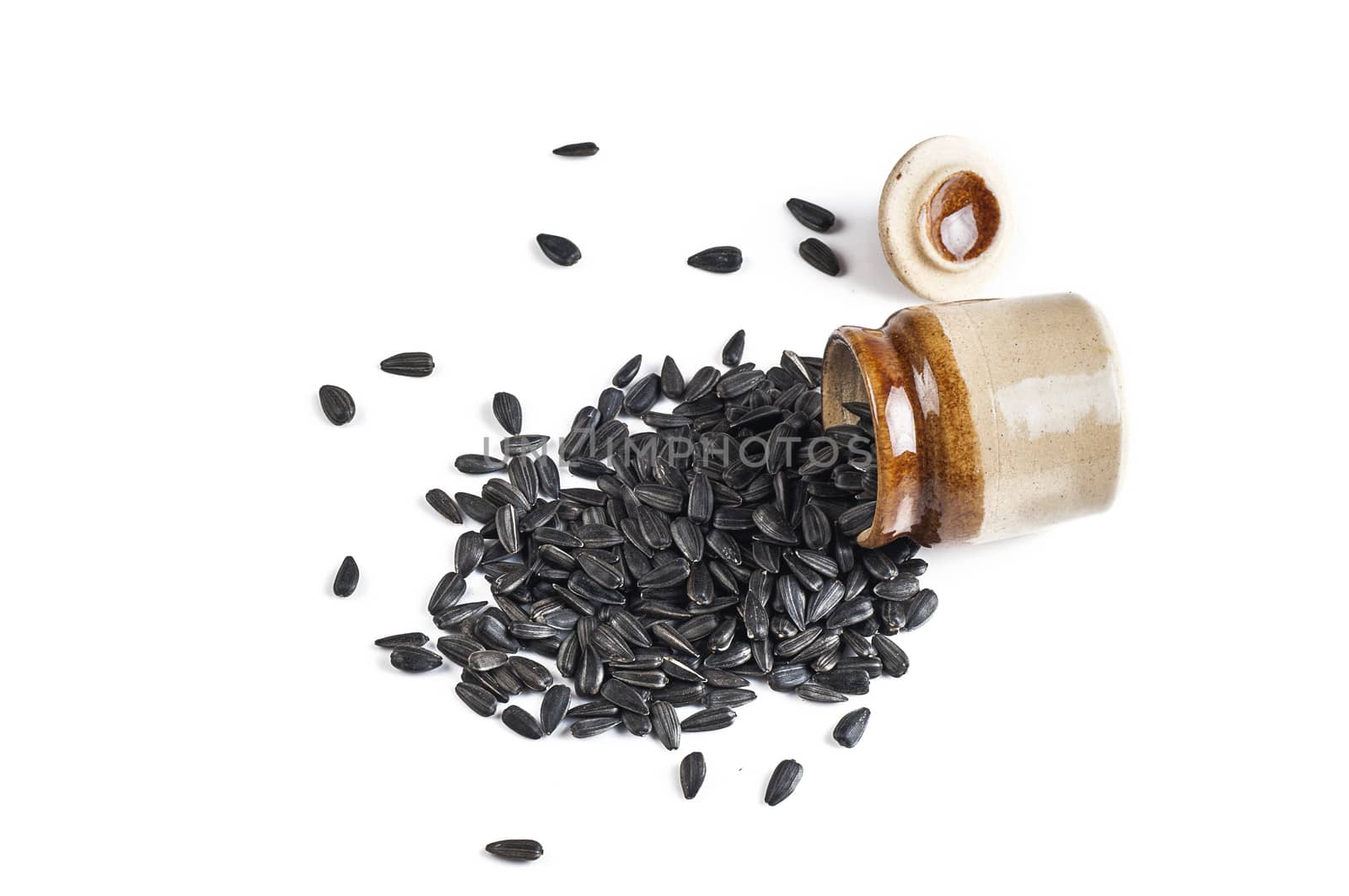 Sunflower Seeds isolated on white background. Helianthus annuus.