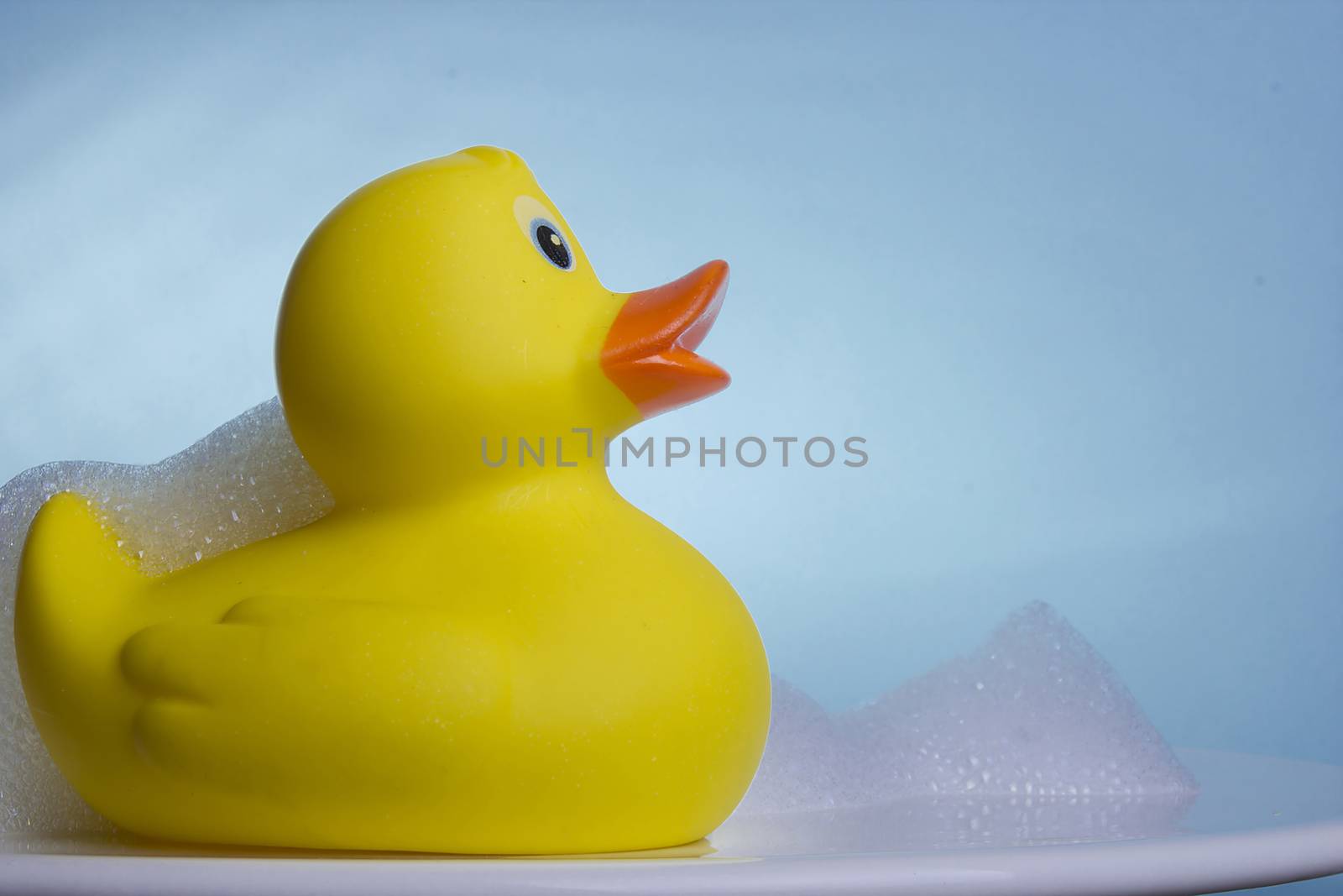 Yellow rubber duck in the foam bath