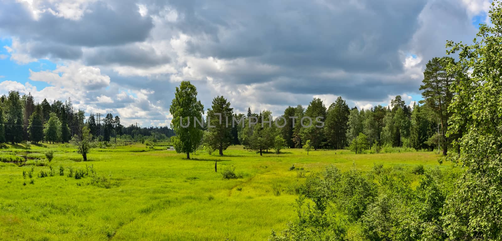 A flood meadow overgrown with trees and bushes under dark clouds in the blue sky.