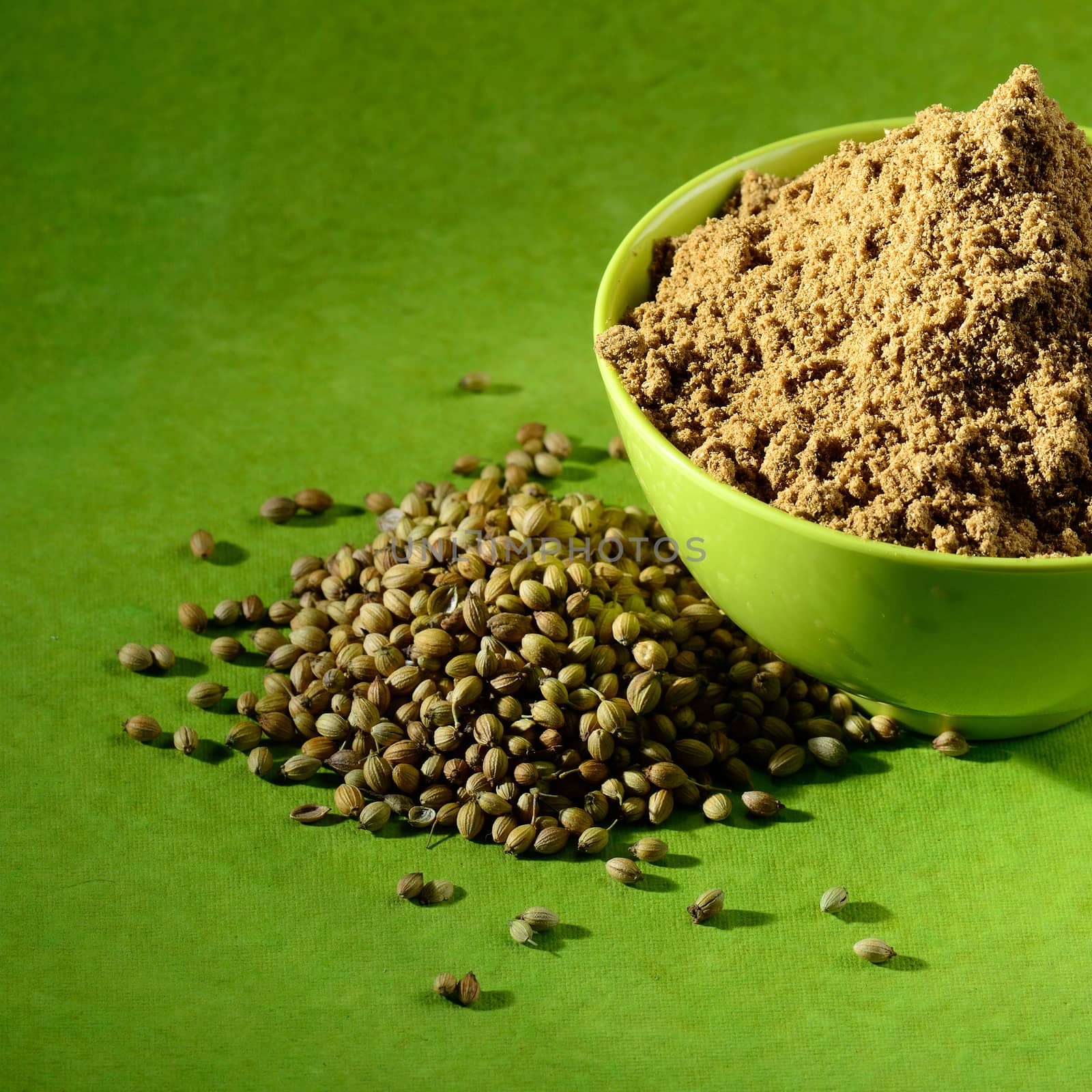Coriander seeds and Powdered coriander in green container on green background