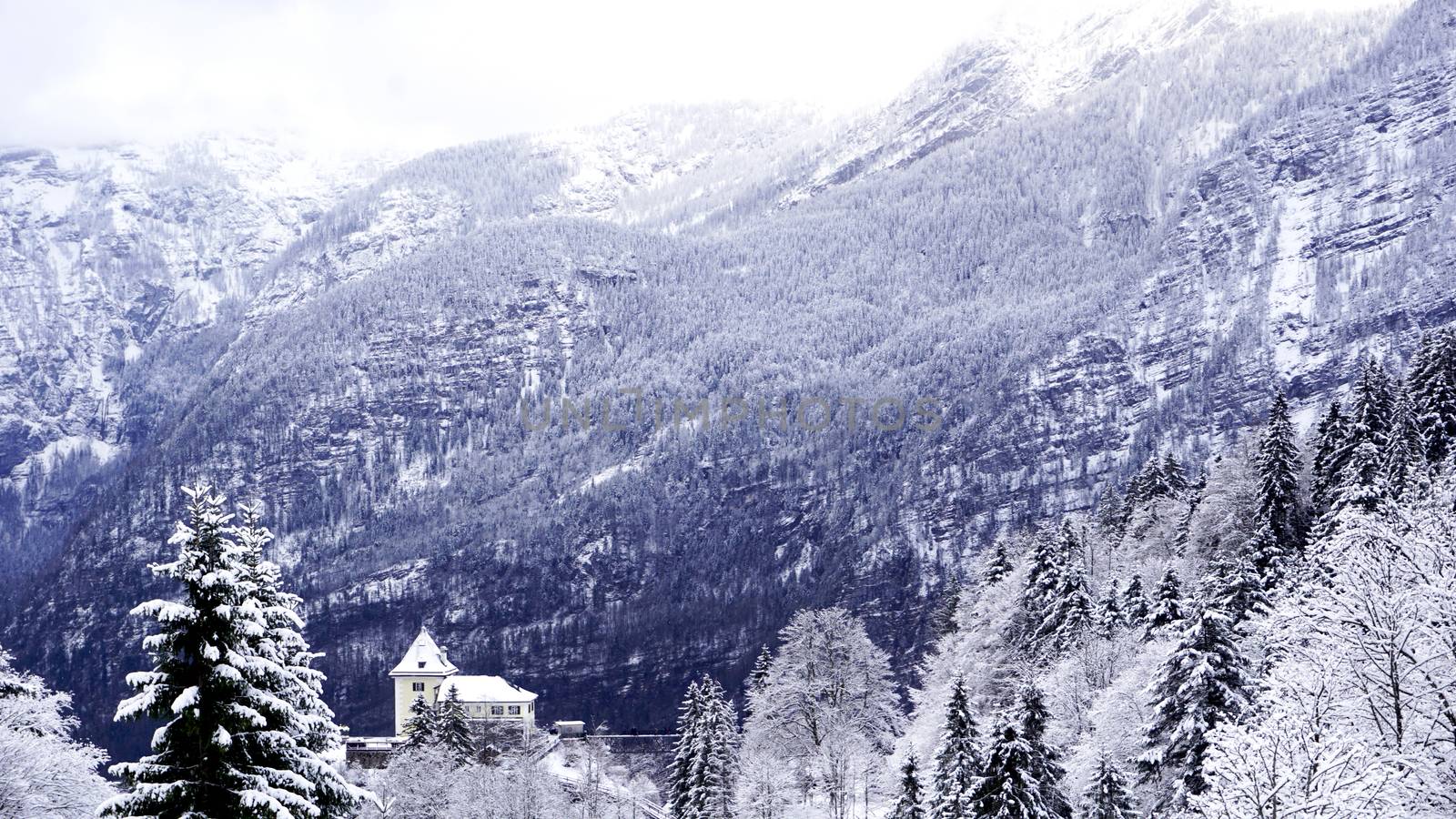 Viewpoint of Hallstatt Winter snow mountain landscape through the forest in upland valley leads to the old salt mine of Hallstatt, Austria by polarbearstudio