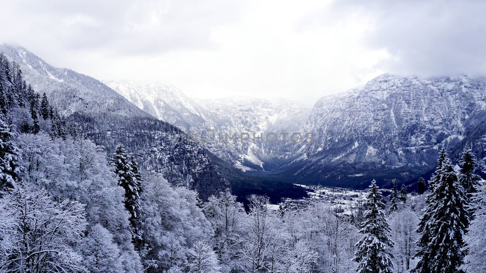 Scenery dreamscape of Hallstatt Winter snow mountain landscape valley and lake through the forest in upland valley leads to the old salt mine of Hallstatt, Austria by polarbearstudio