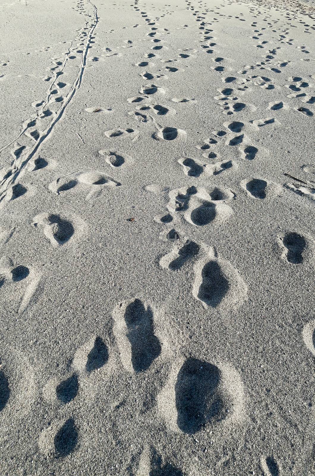 Many footsteps on a sandy beach by marcorubino