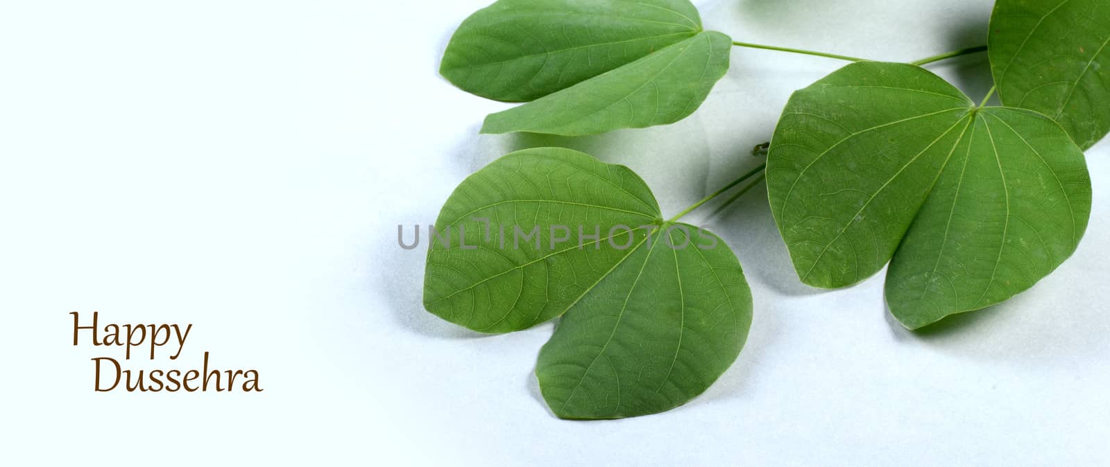 Indian Festival Dussehra, showing golden leaf on grey background. Greeting card.