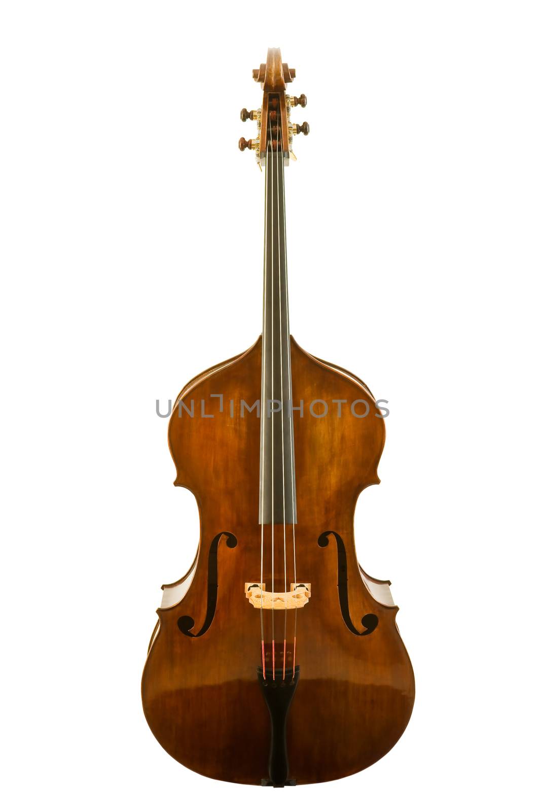 Beautiful vintage viola isolated on white background, clipping path