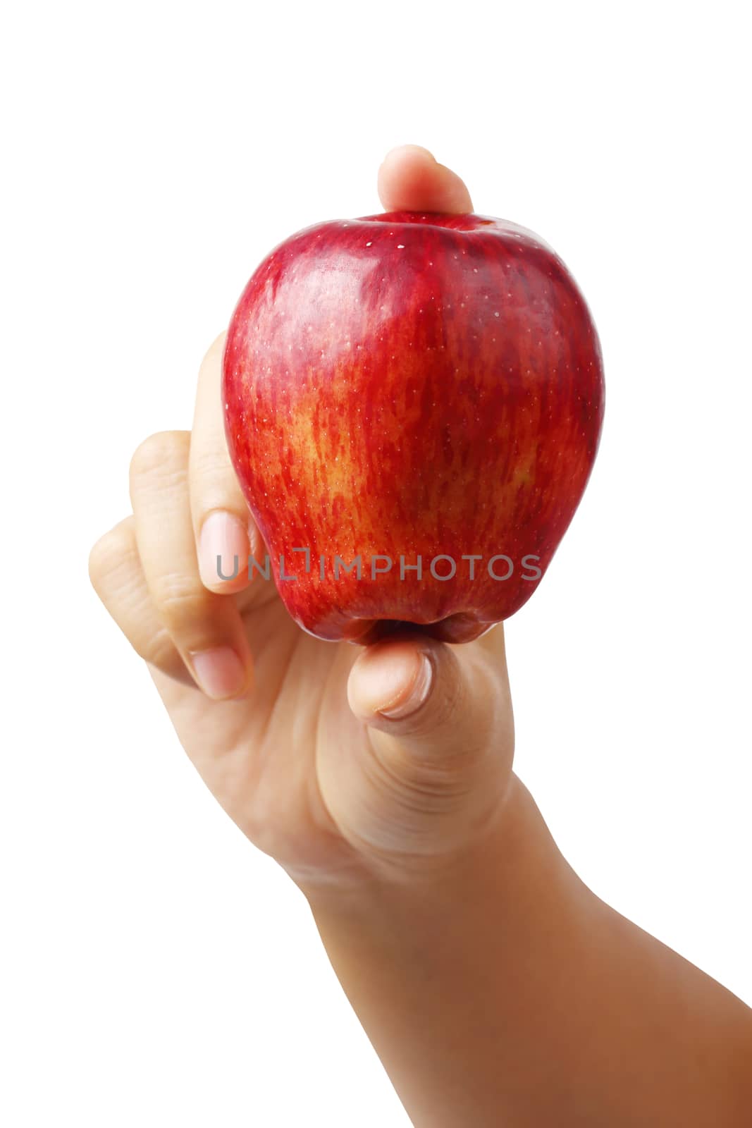 woman hand holding red apple isolated on white background, clipping path.