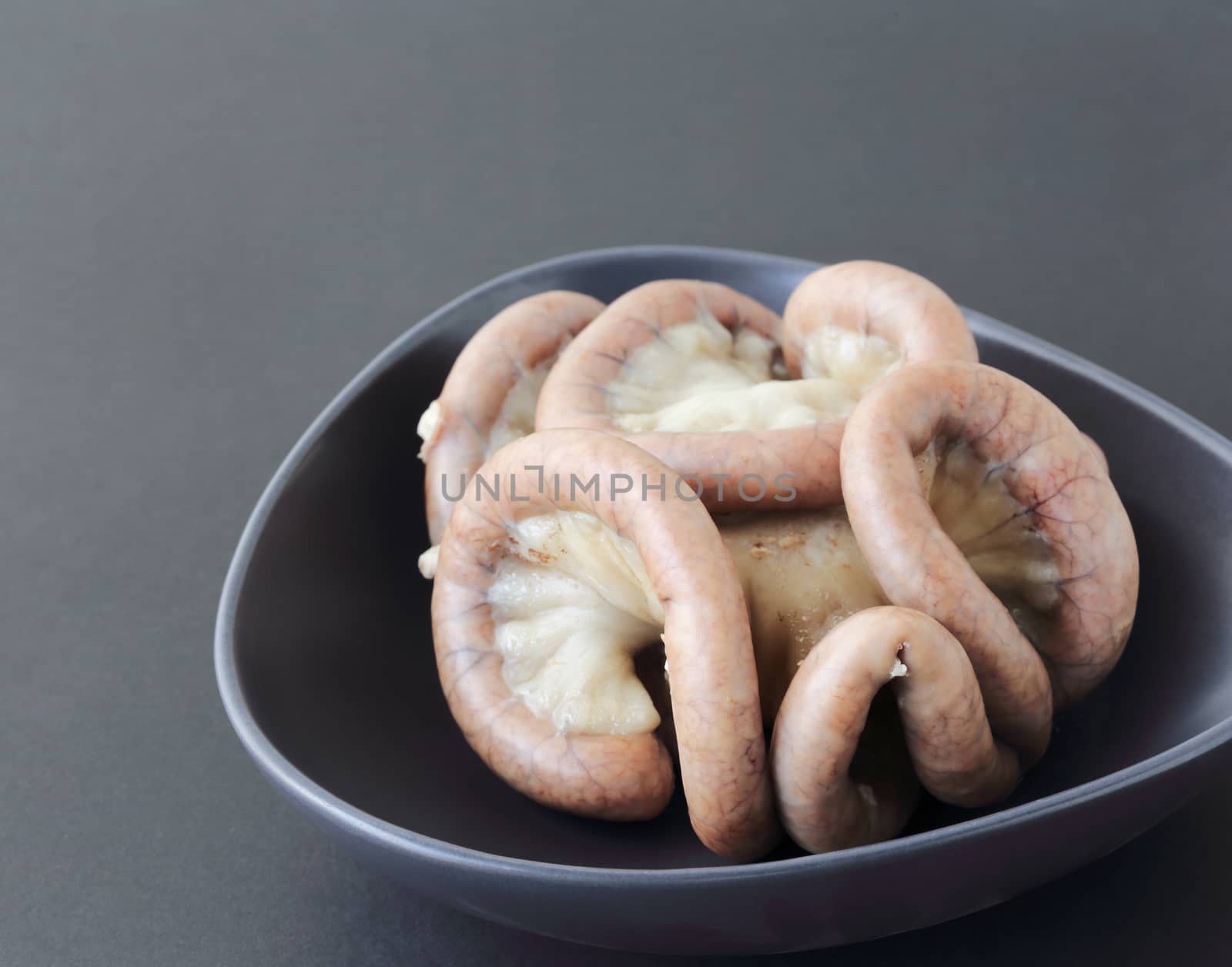 Boiled chitterlings internal organs of pig on gray background.