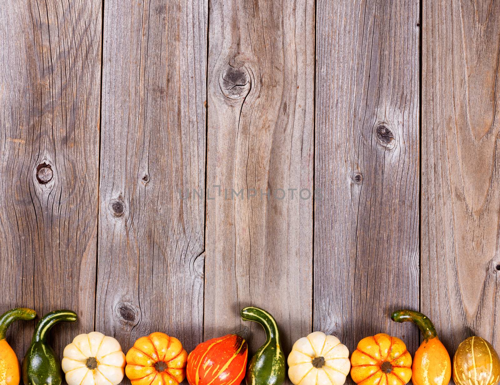 Bottom border of autumn gourd decorations on rustic wooden board by tab1962