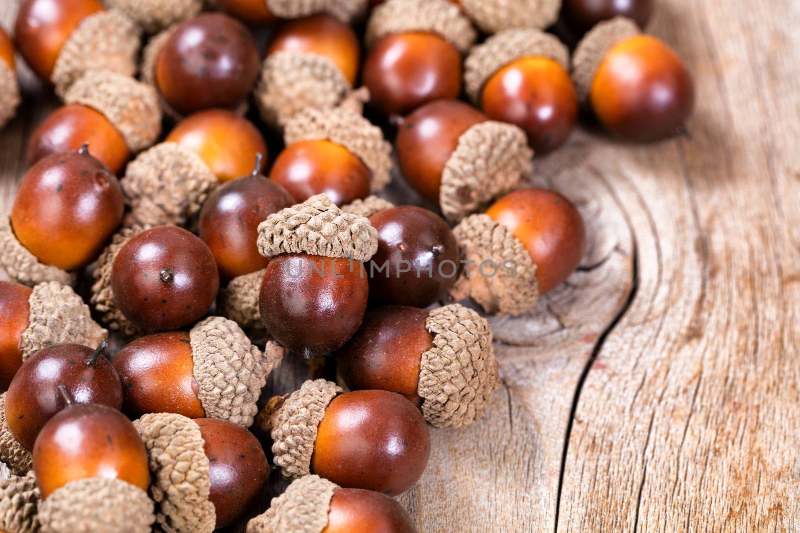 Close up view of seasonal autumn acorn decorations on rustic wood. Selective focus on single acorn on top of pile.  