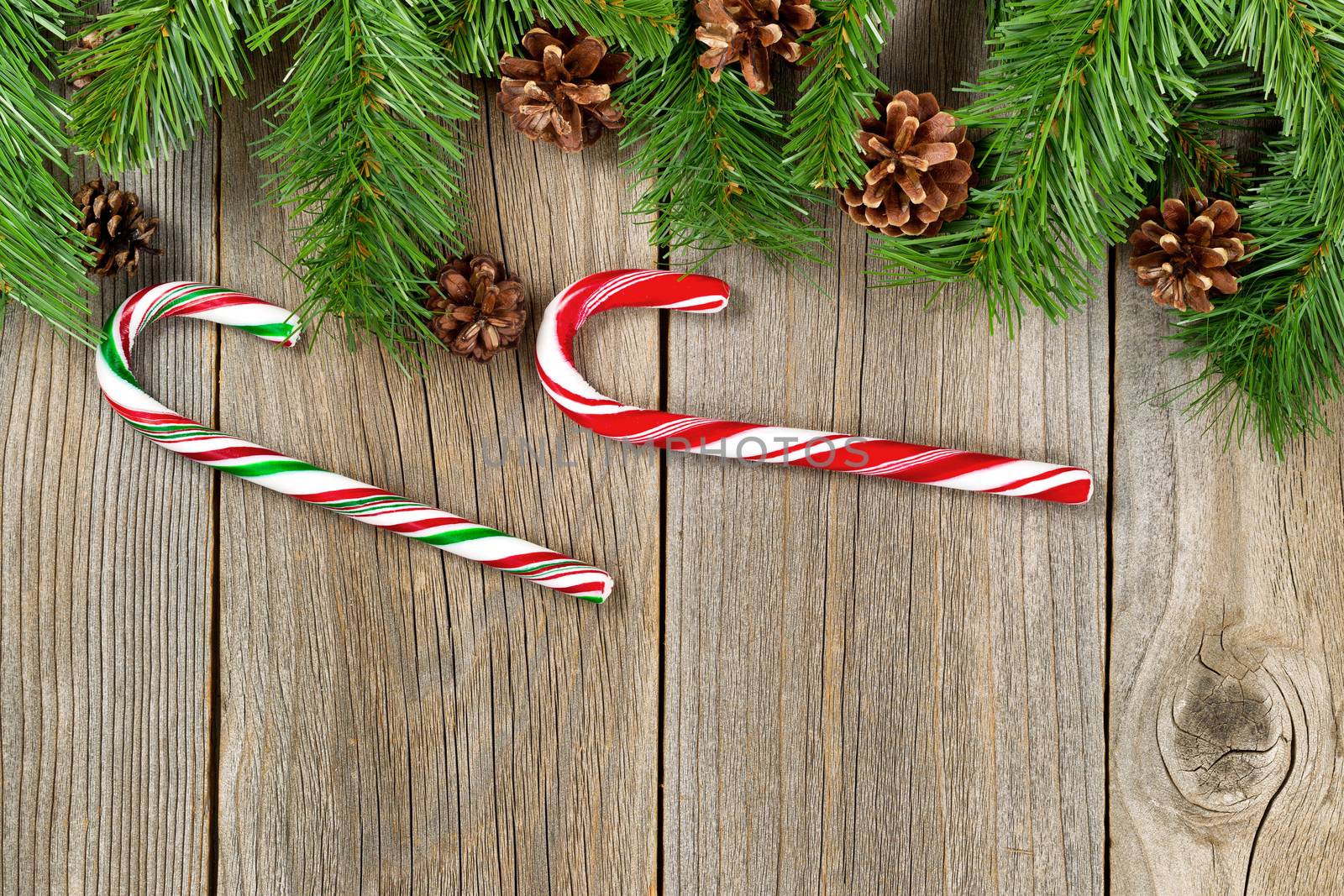 Christmas border with pine tree branches, cones and candy canes on rustic wooden boards. 
